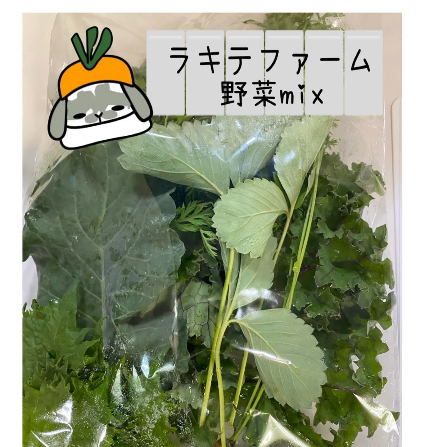 ☆生野菜＆生野草＆生牧草☆