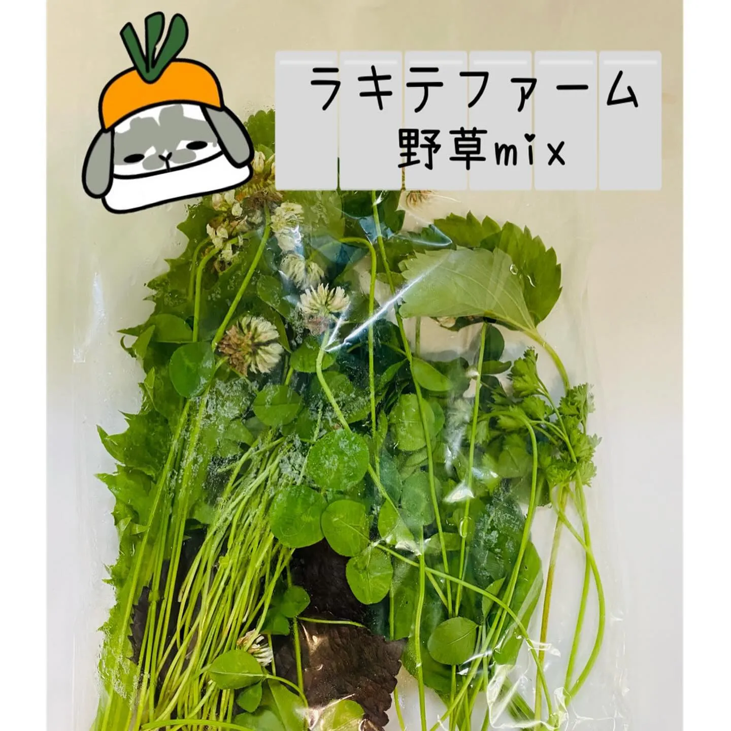 ☆生野菜＆生野草＆生牧草☆