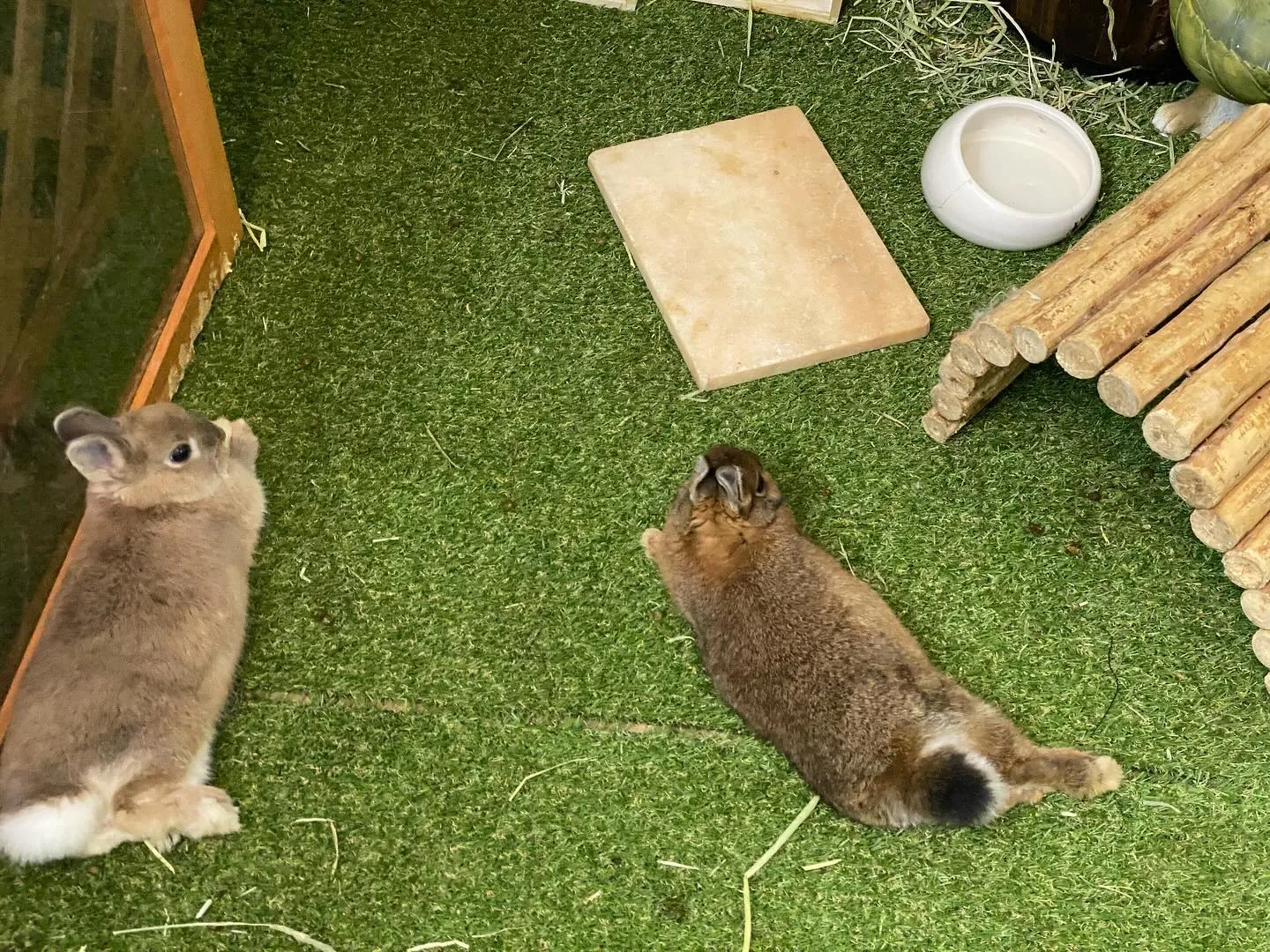 ☆昼間の時間☆