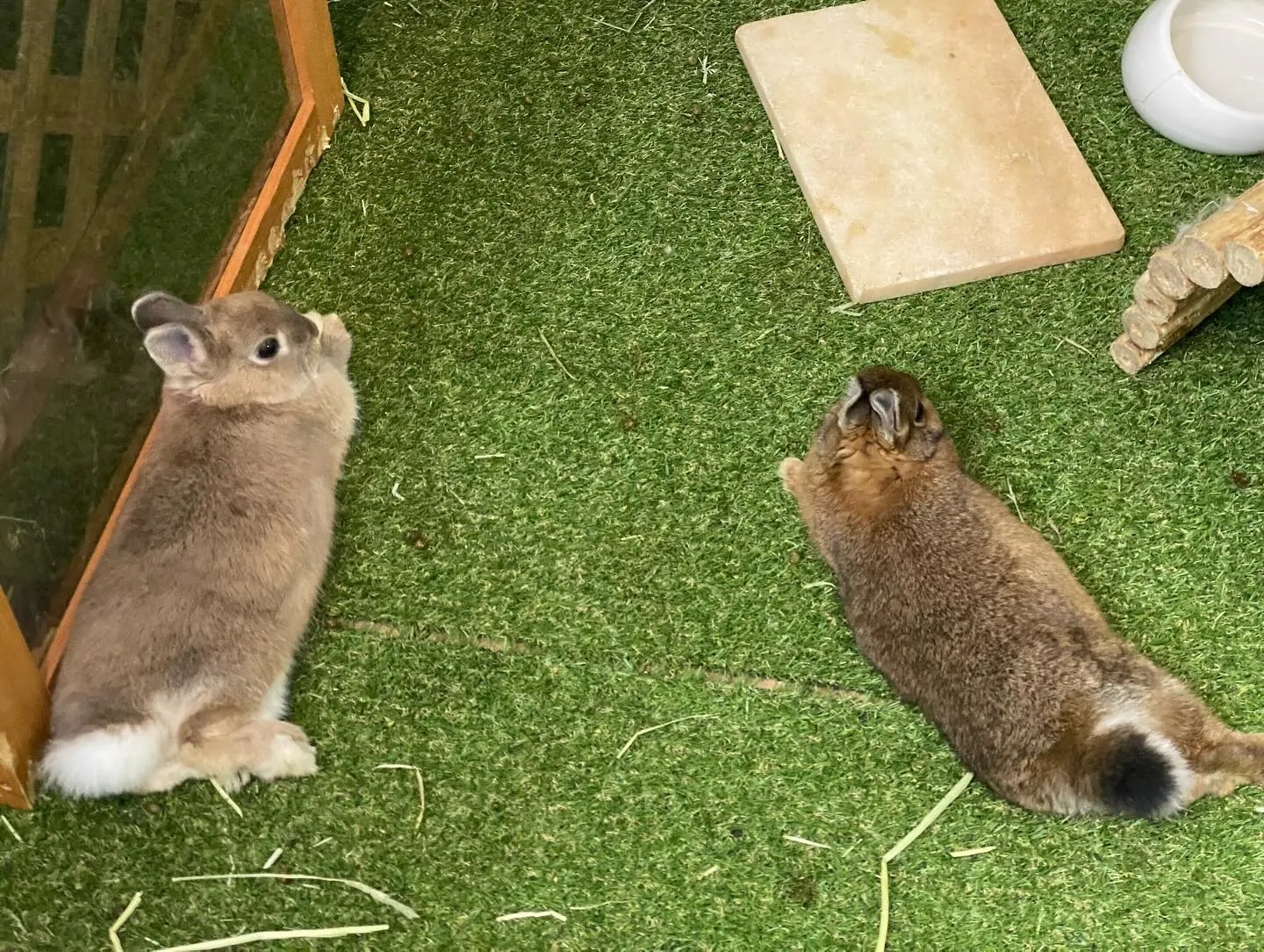 ☆昼間の時間☆