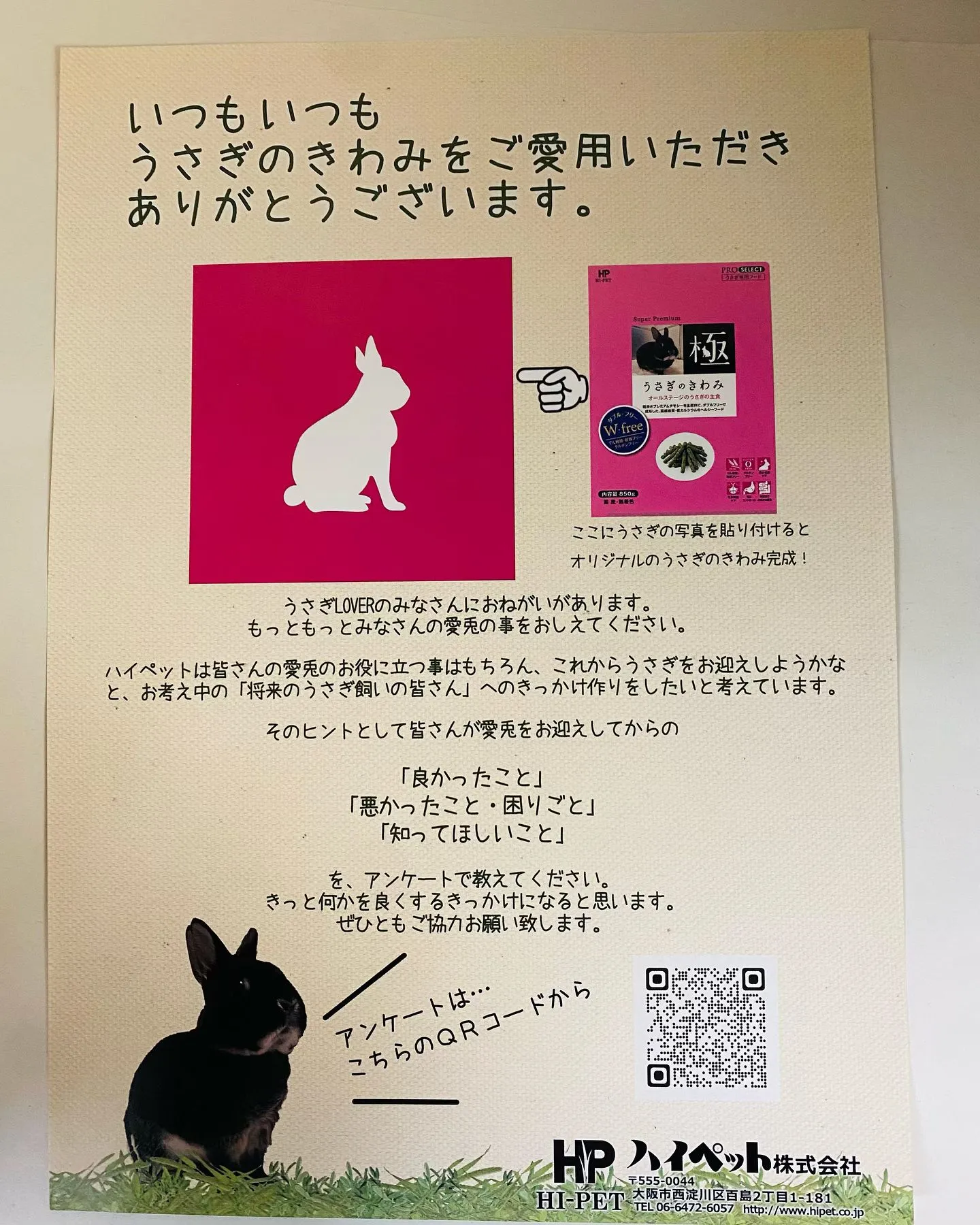 ☆うさぎのきわみ☆