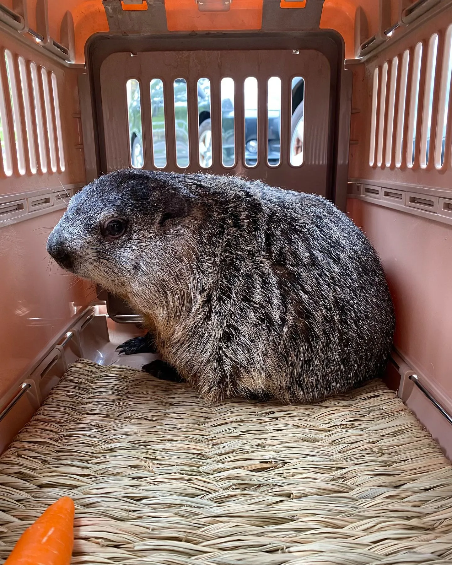 ☆おうちが決まりました☆