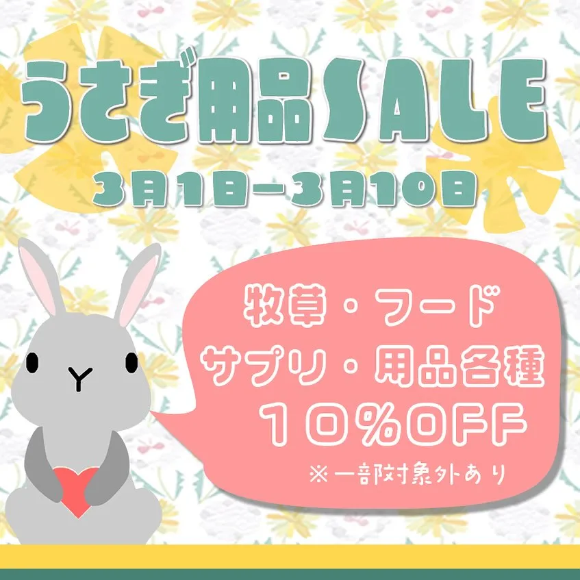 ☆うさぎ用品SALE☆