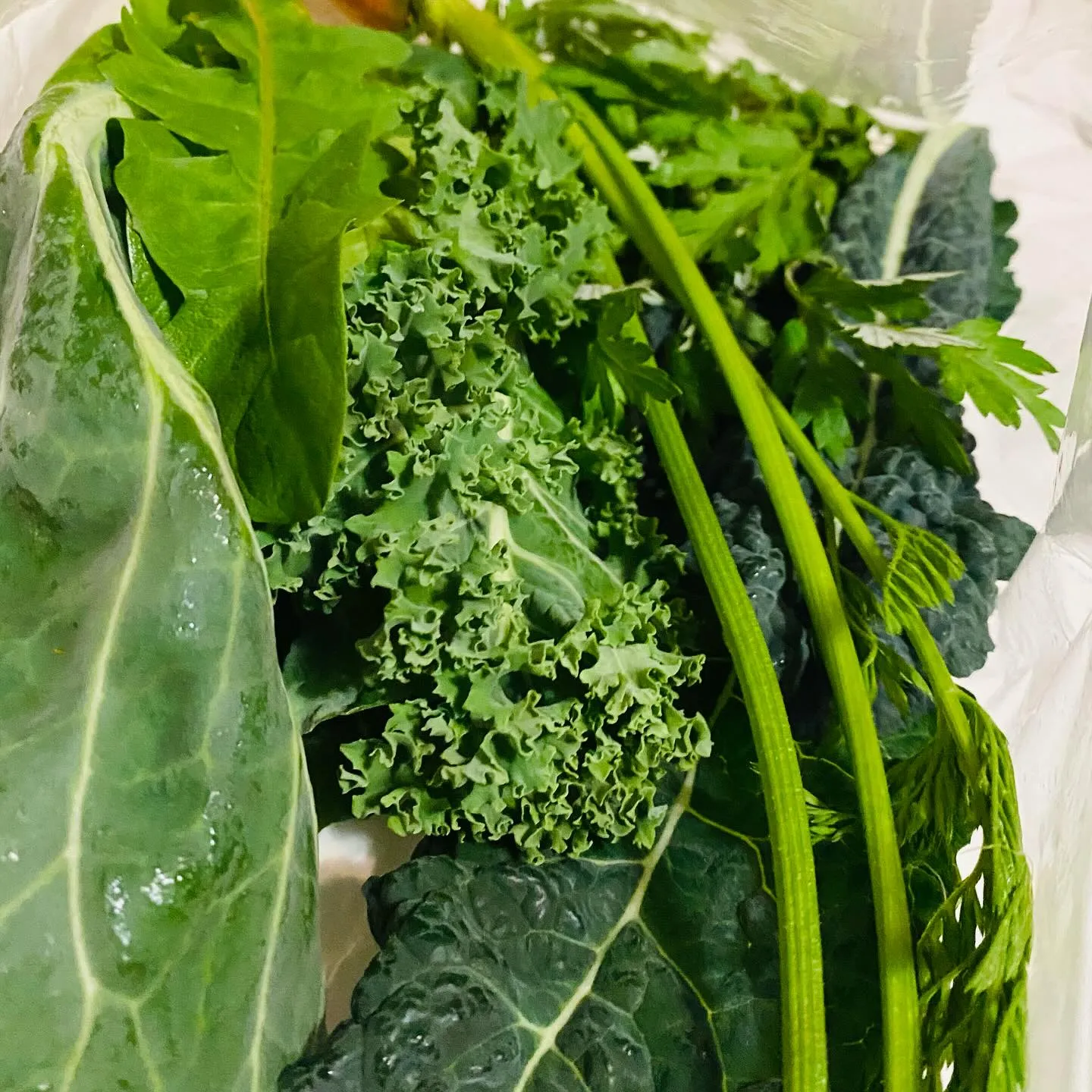 ☆ラキテ葉っぱ☆