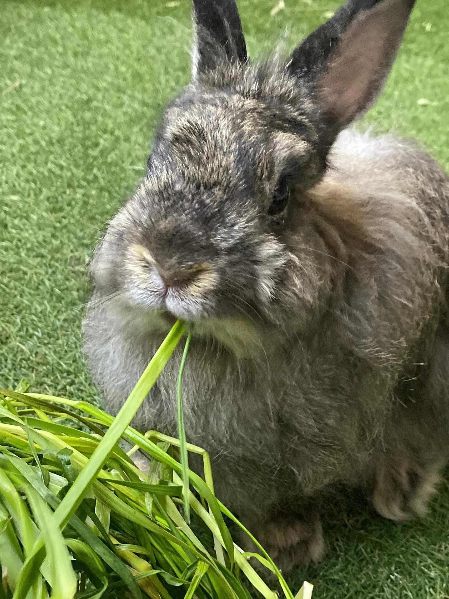 ☆生イタリアン☆