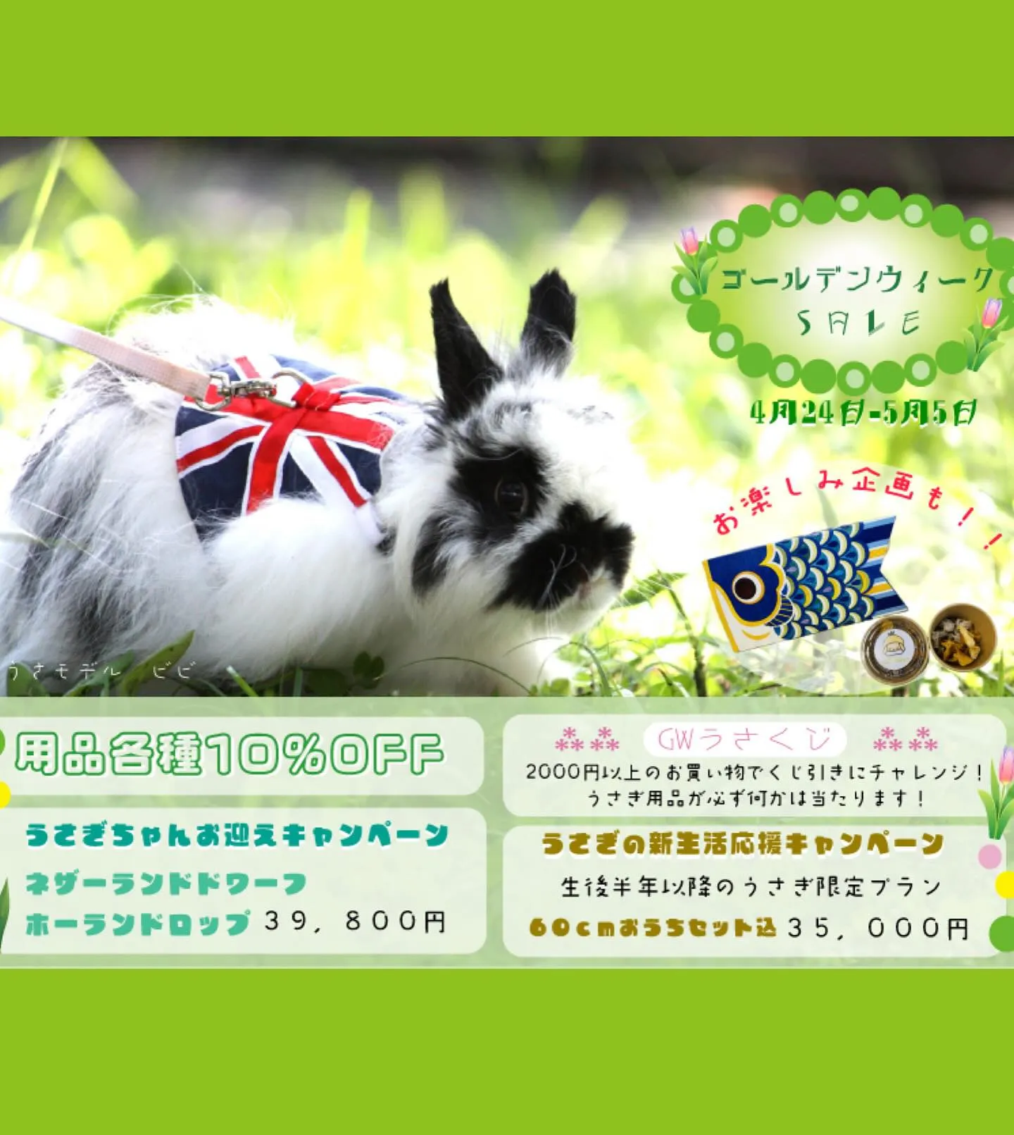 ☆うさぎお迎えキャンペーン実施中☆
