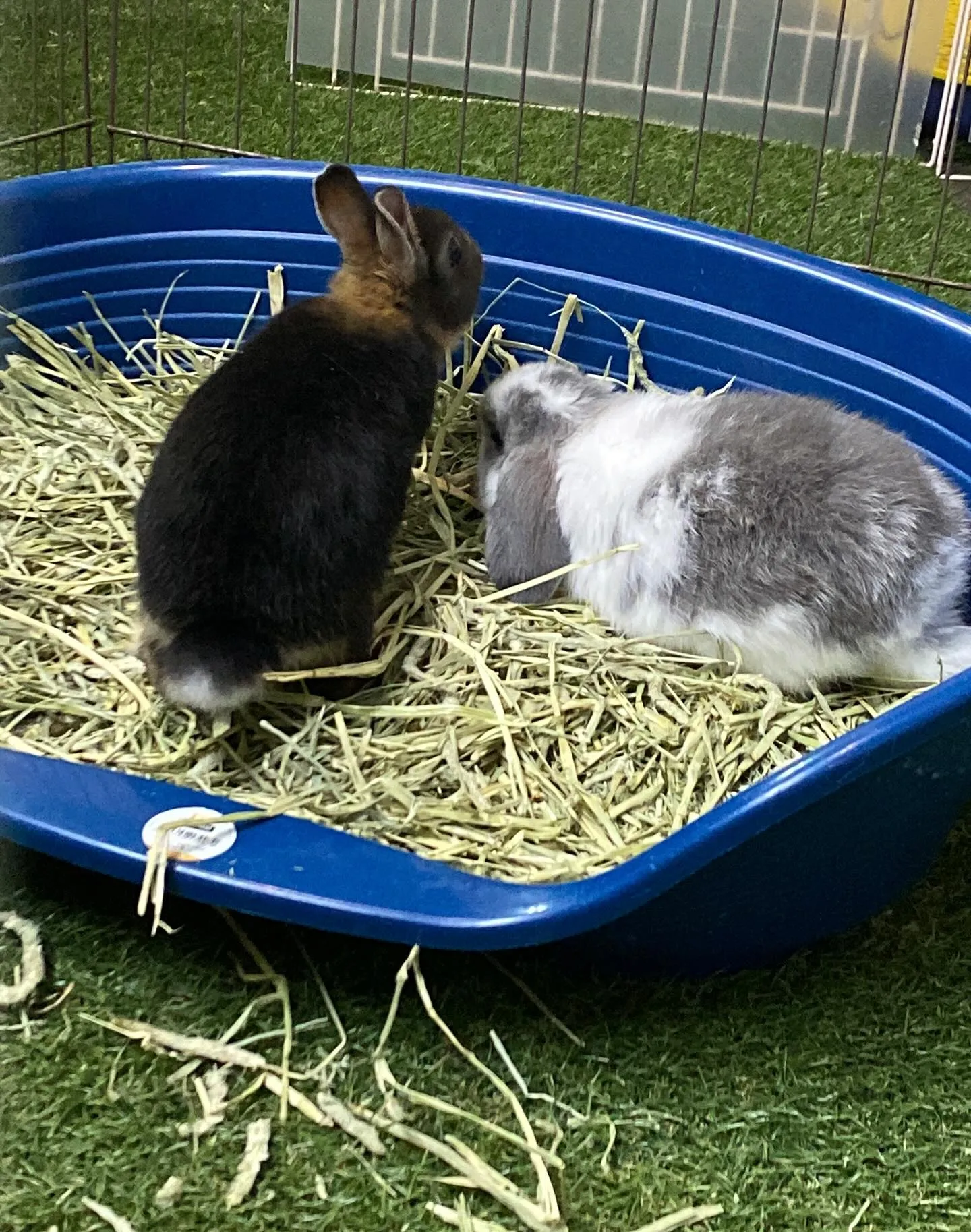 ☆牧草パーク☆