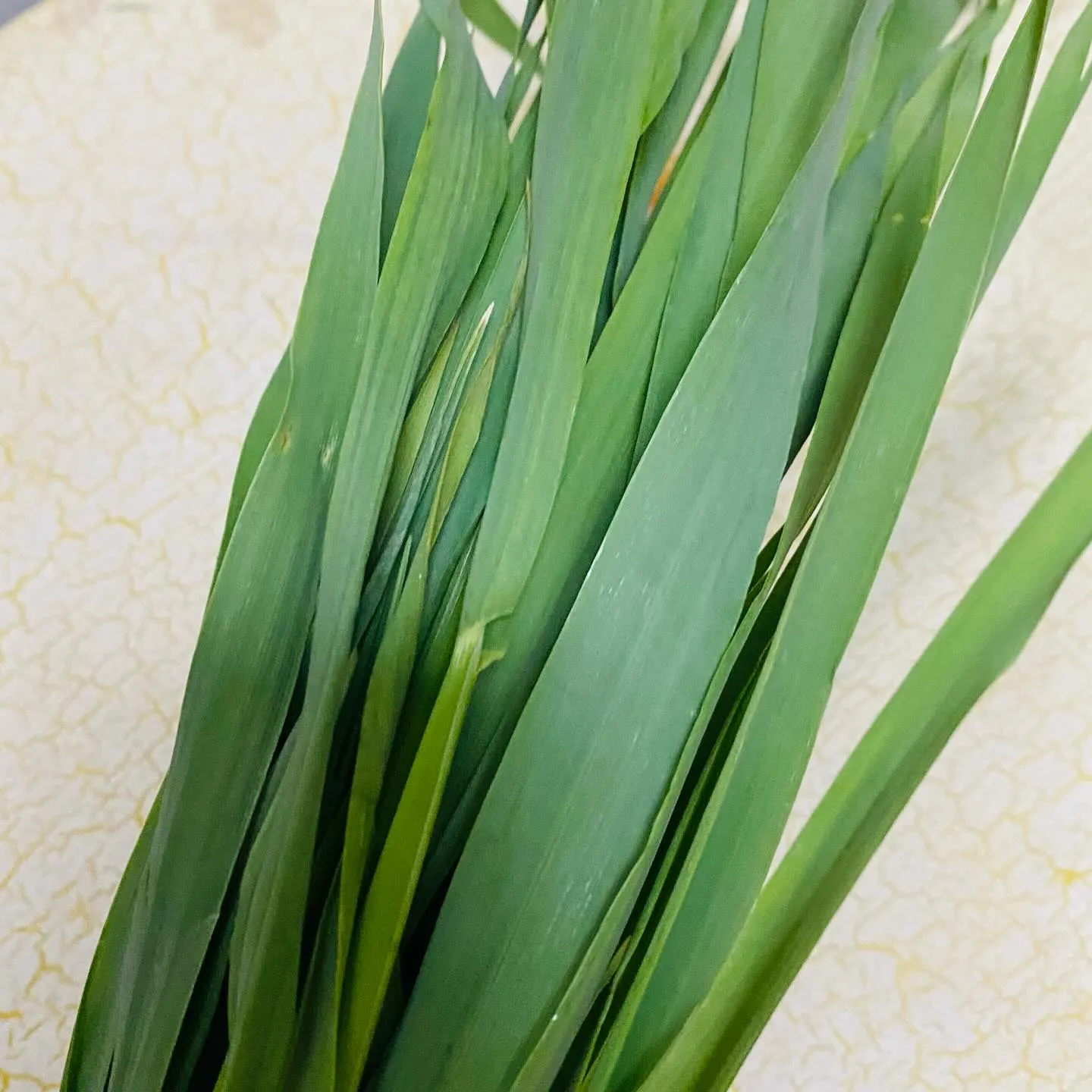 ☆ラキテファーム☆