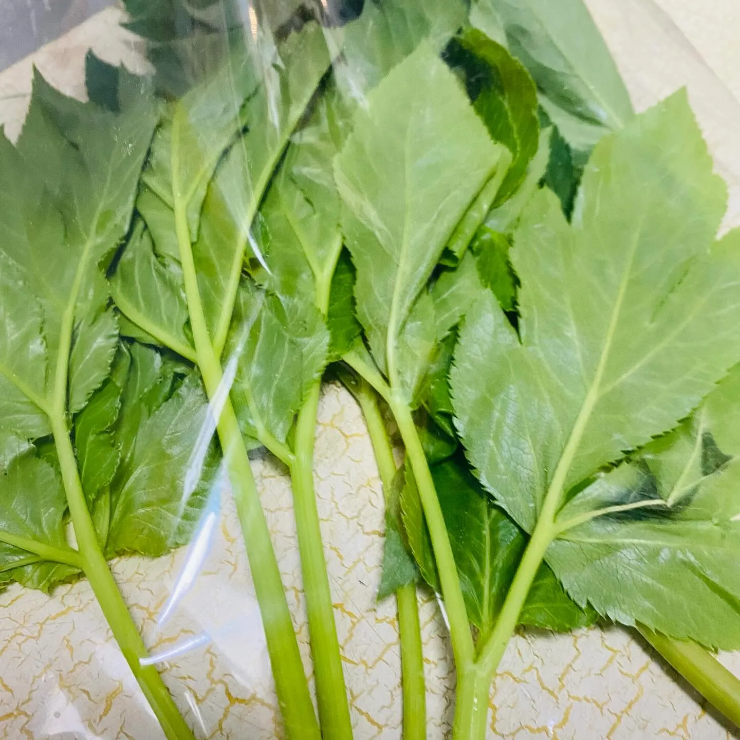 ☆ラキテファーム☆