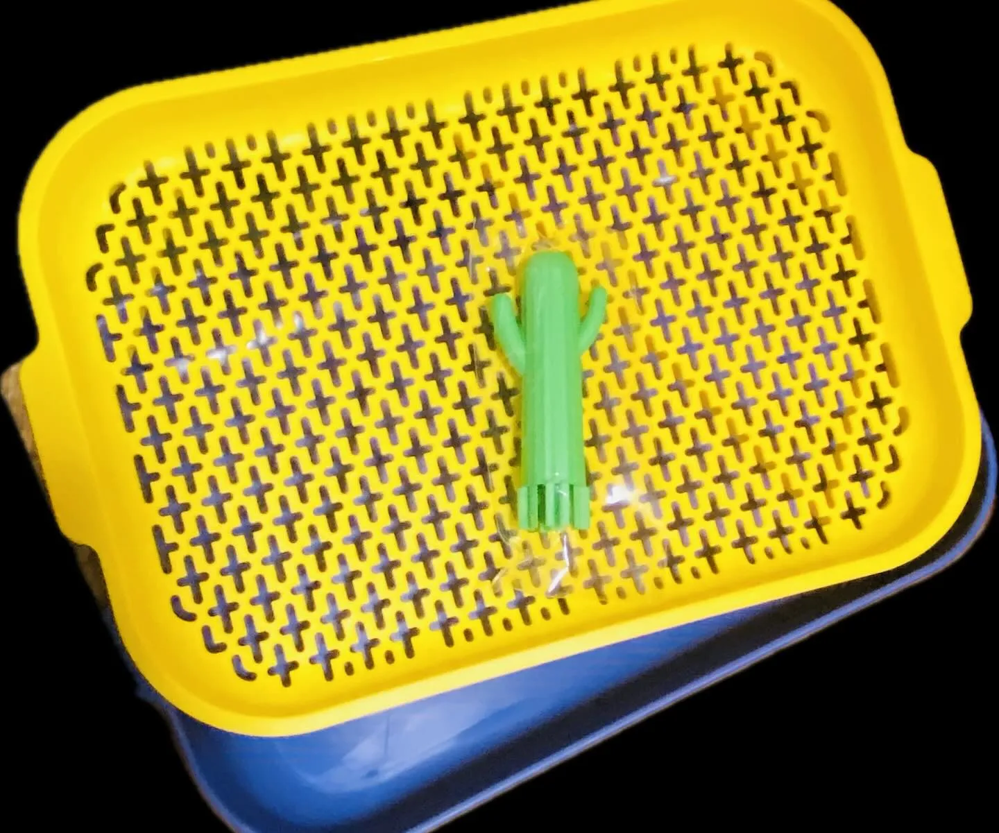 ☆大型うさぎにおすすめ☆