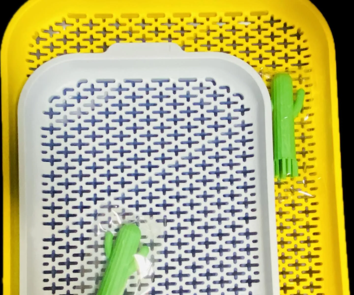 ☆大型うさぎにおすすめ☆