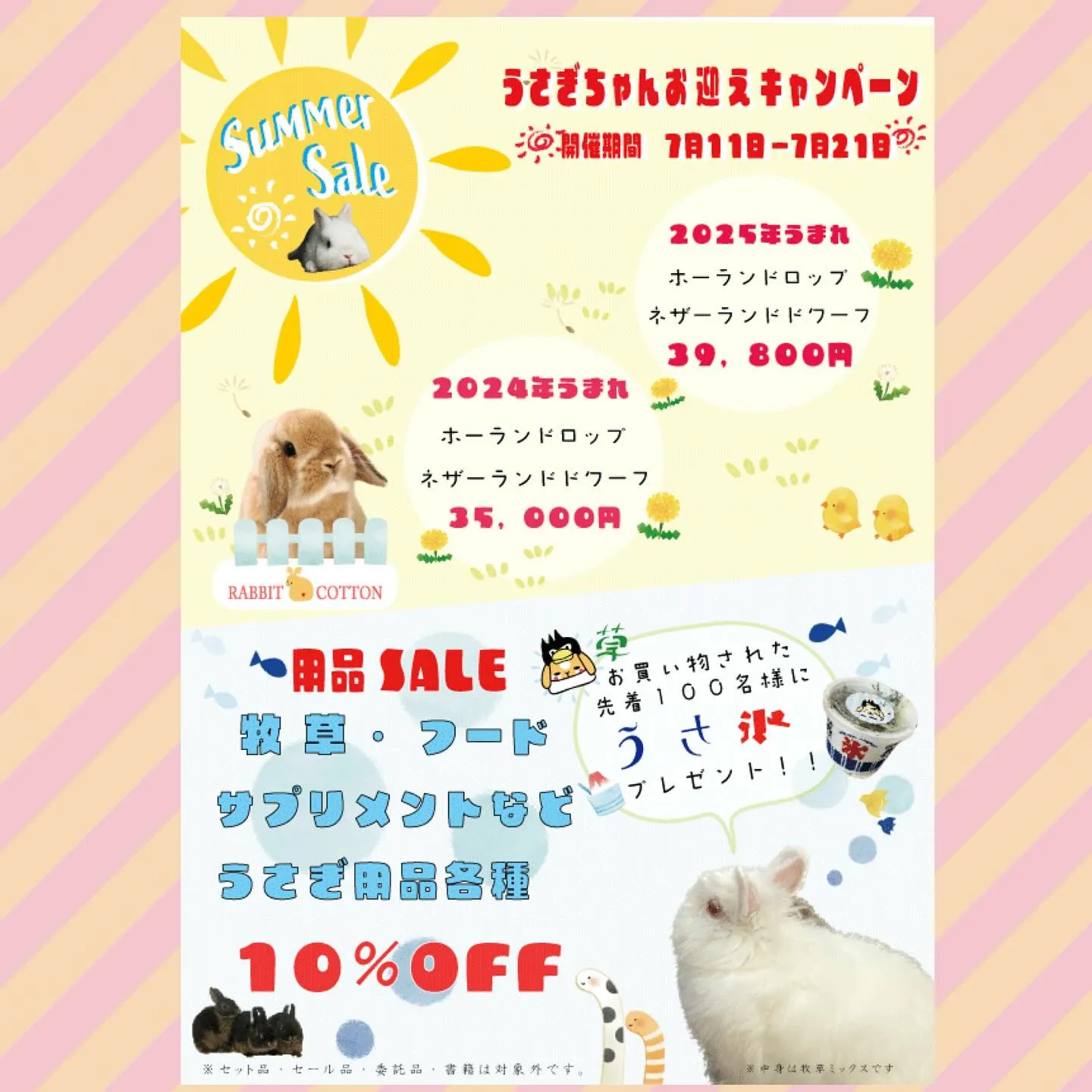 ☆SALEのお知らせ☆