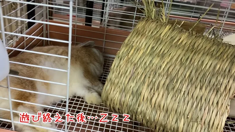 ☆明日からお迎えキャンペーン☆