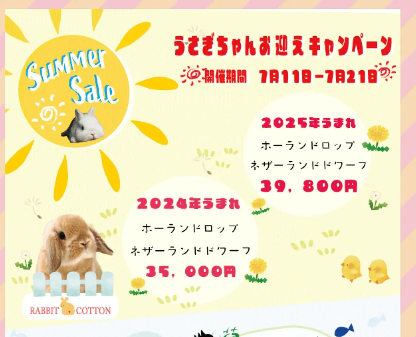 ☆明日からお迎えキャンペーン☆