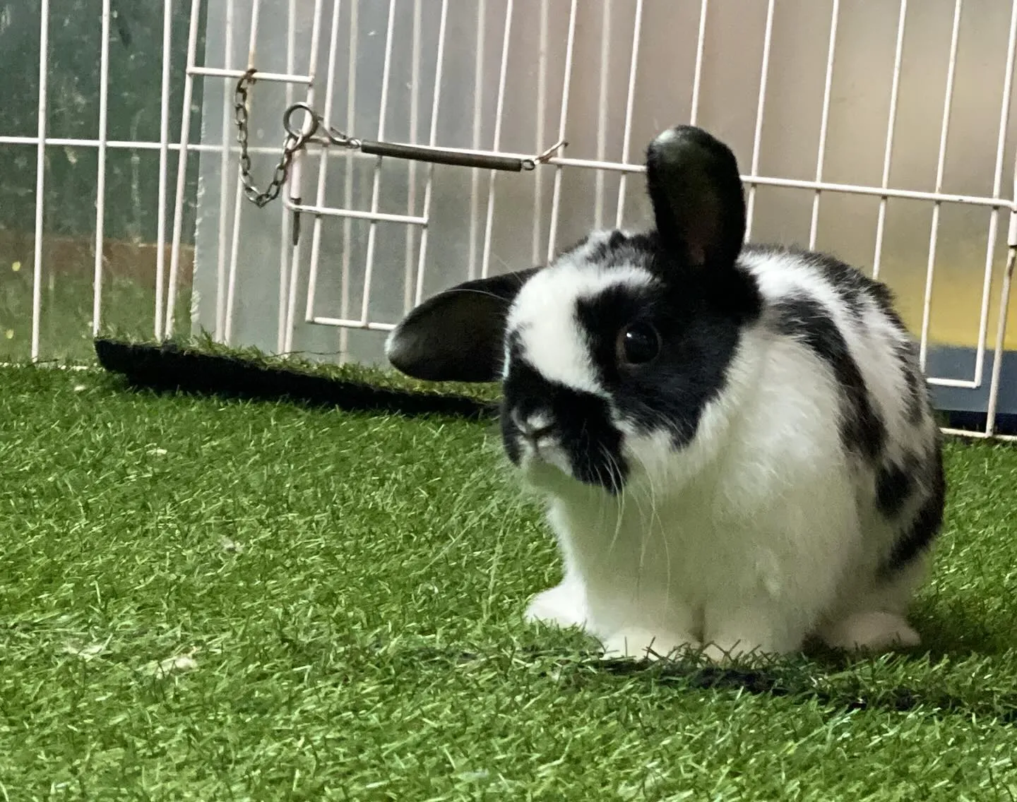 ☆運動タイム☆