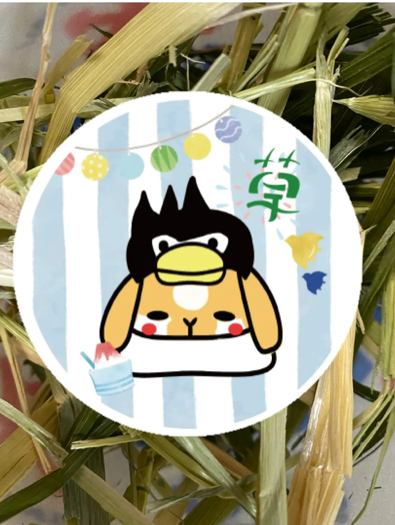☆うさ氷☆