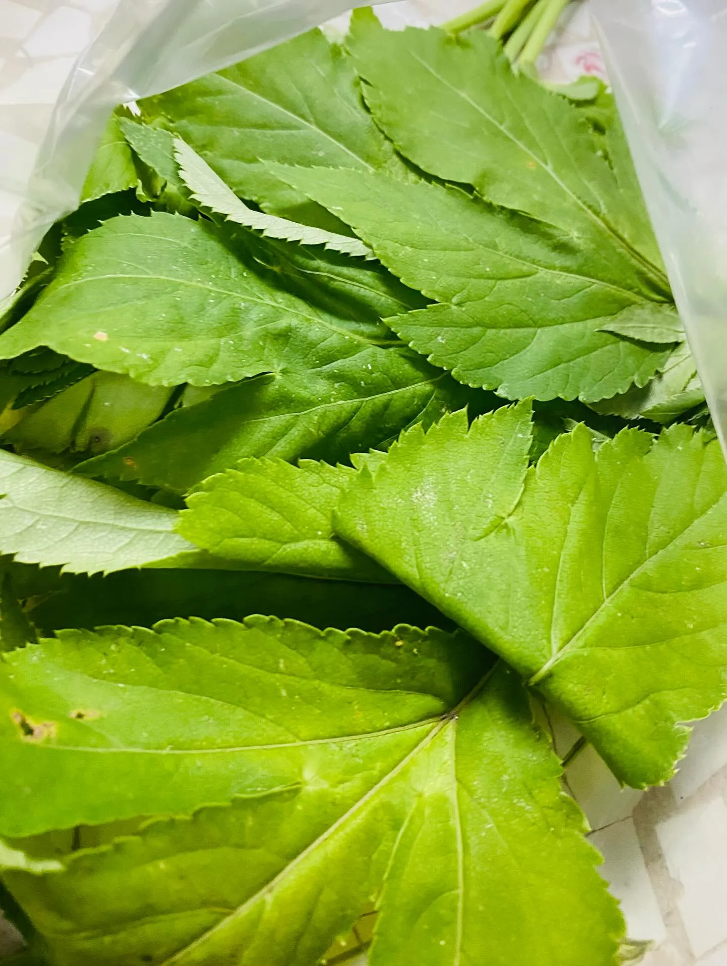 ☆ラキテファーム☆