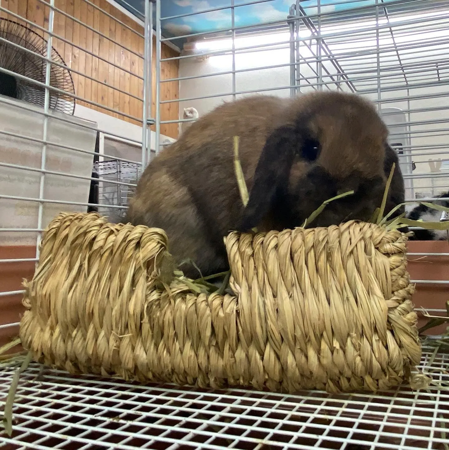 ☆ごろ寝シリーズ☆