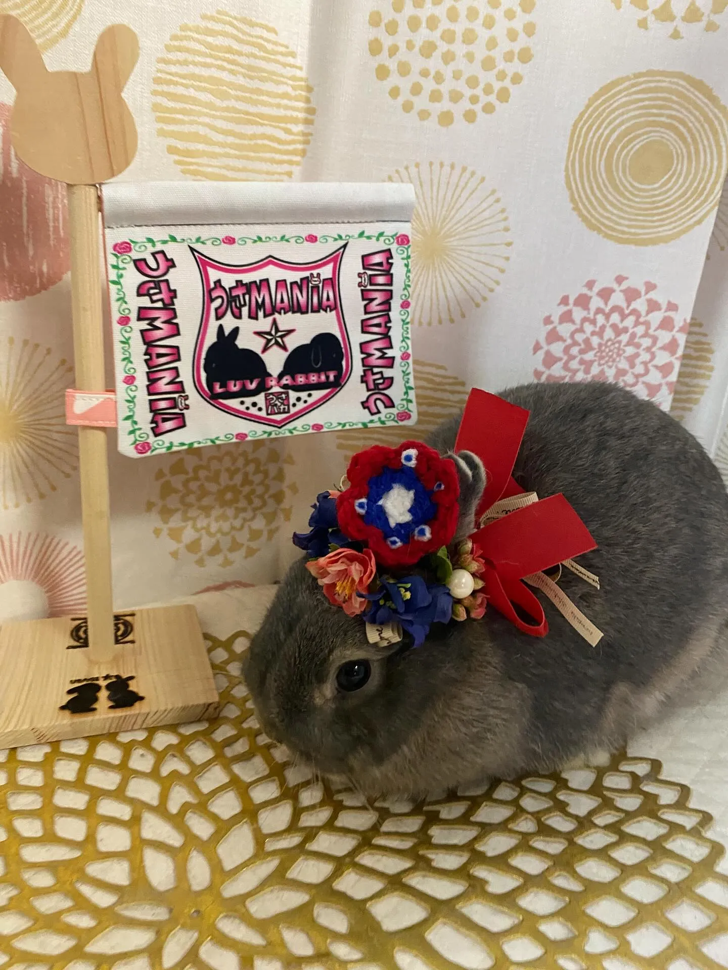 ☆ミャクミャクうさぎ☆