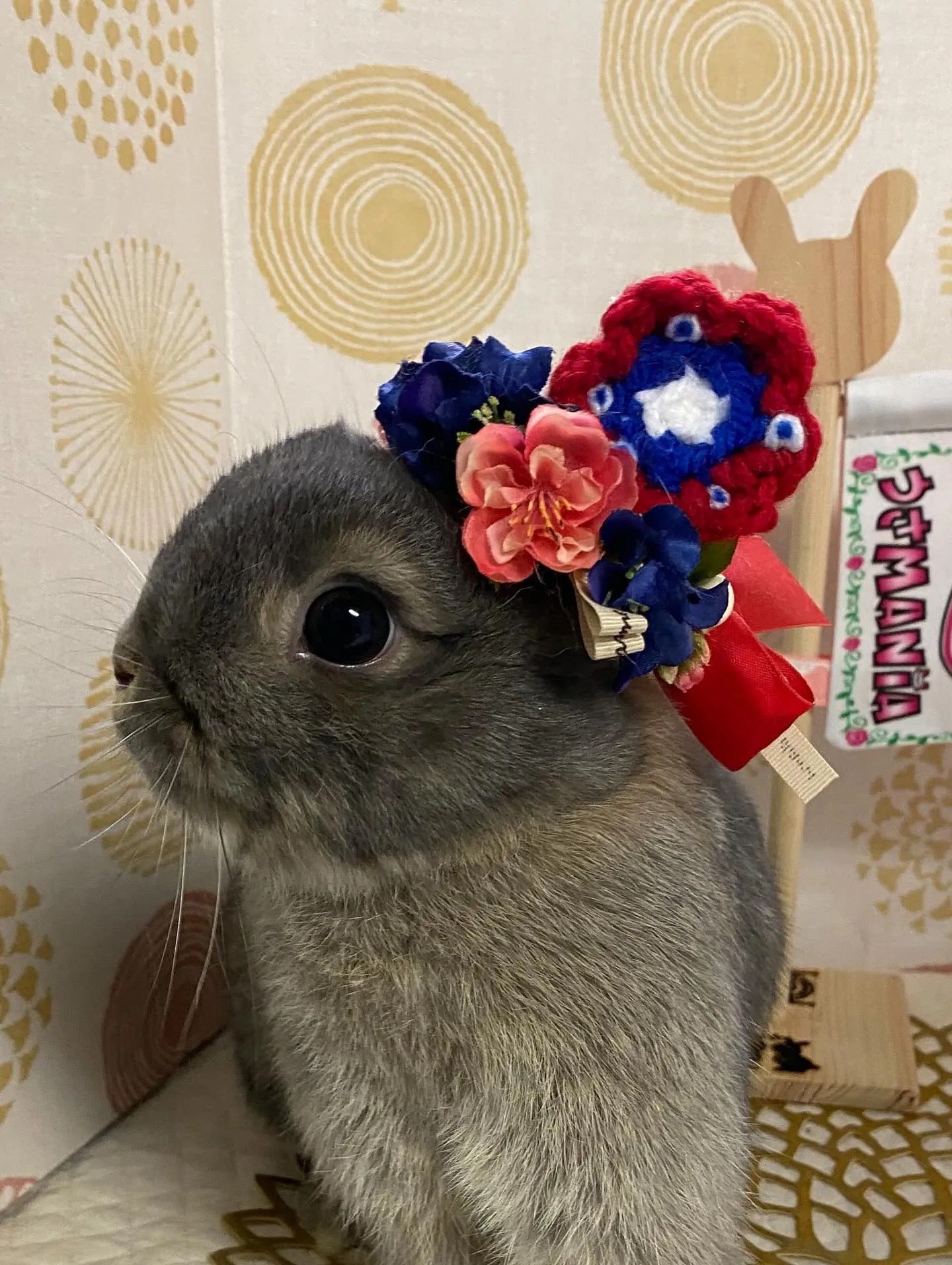 ☆ミャクミャクうさぎ☆
