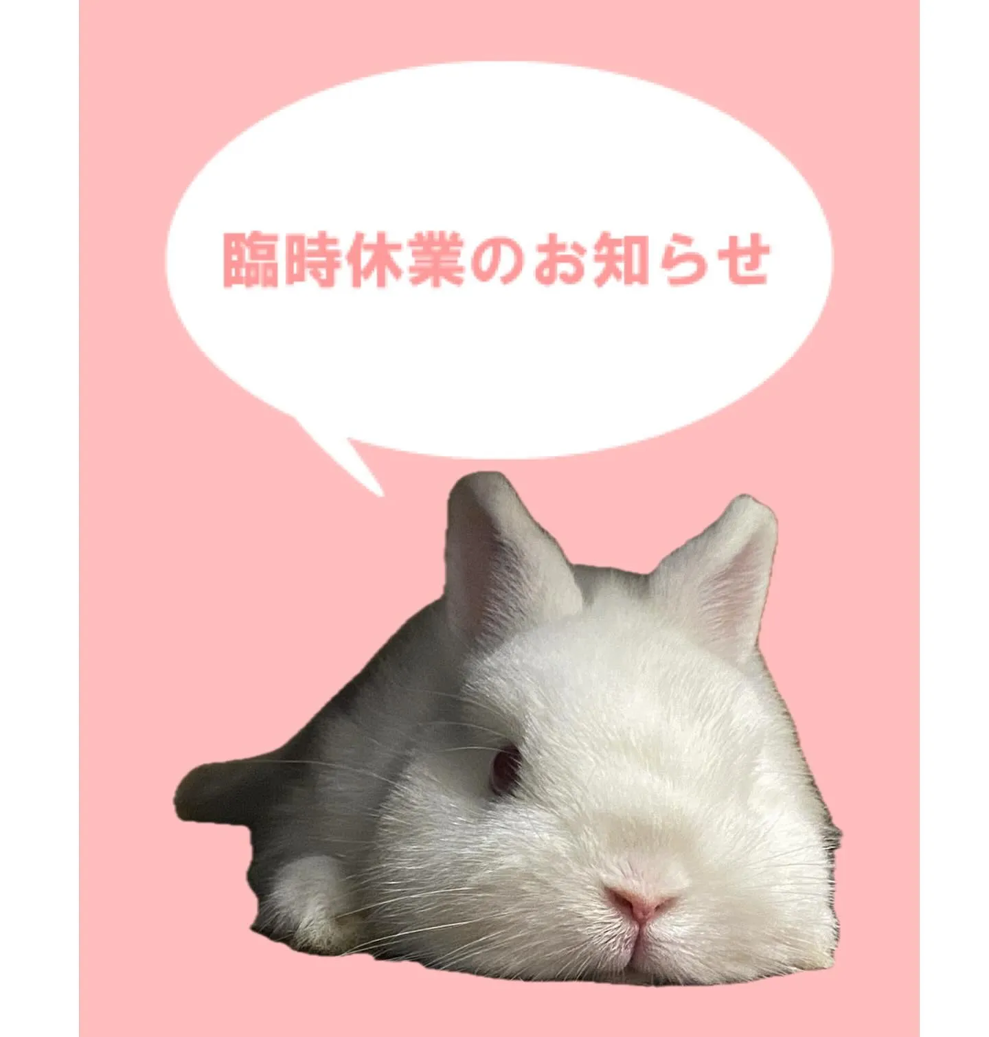 ☆臨時休業のお知らせ☆