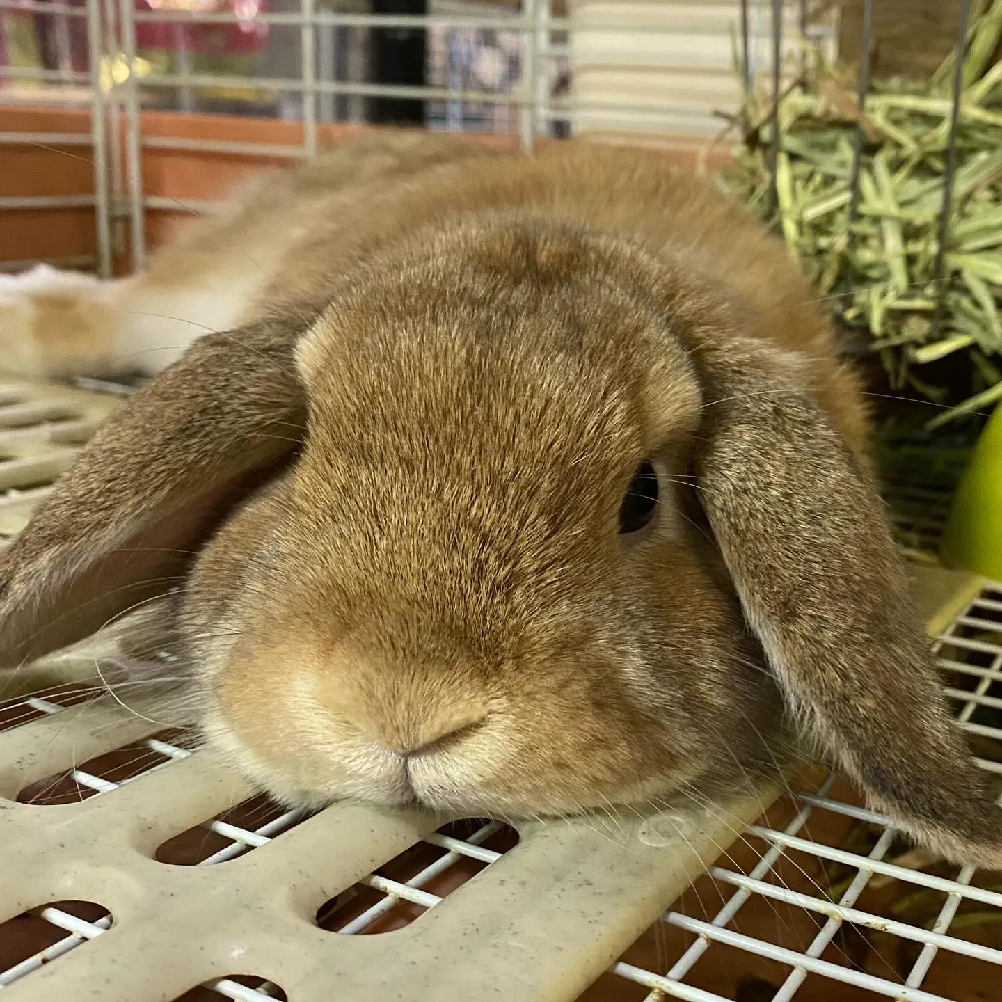 ☆8月だけの☆