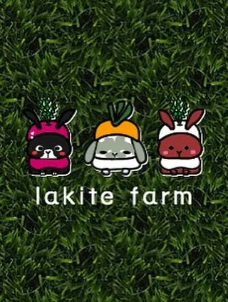 ☆ラキテ葉っぱ☆