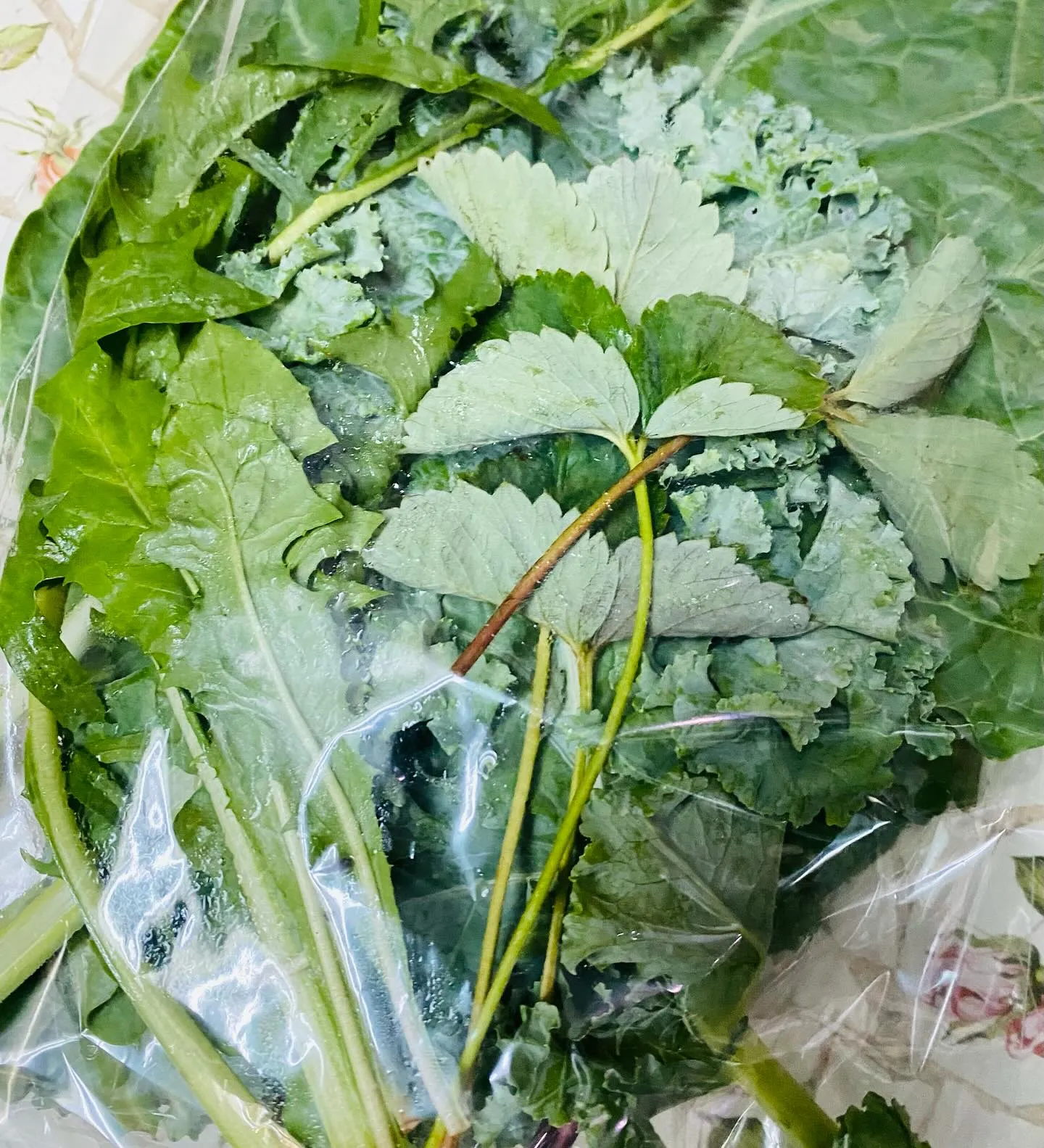 ☆ラキテ葉っぱ☆