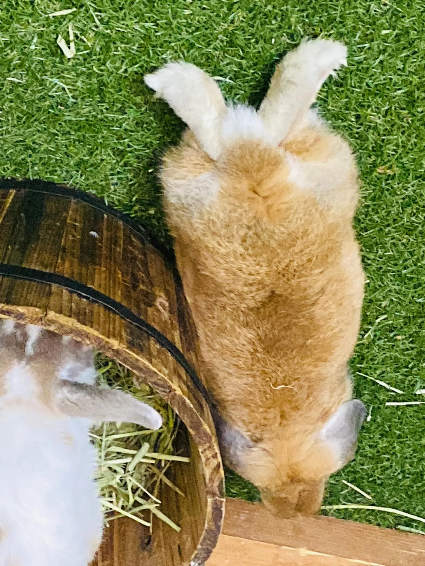 ☆名古屋名物☆