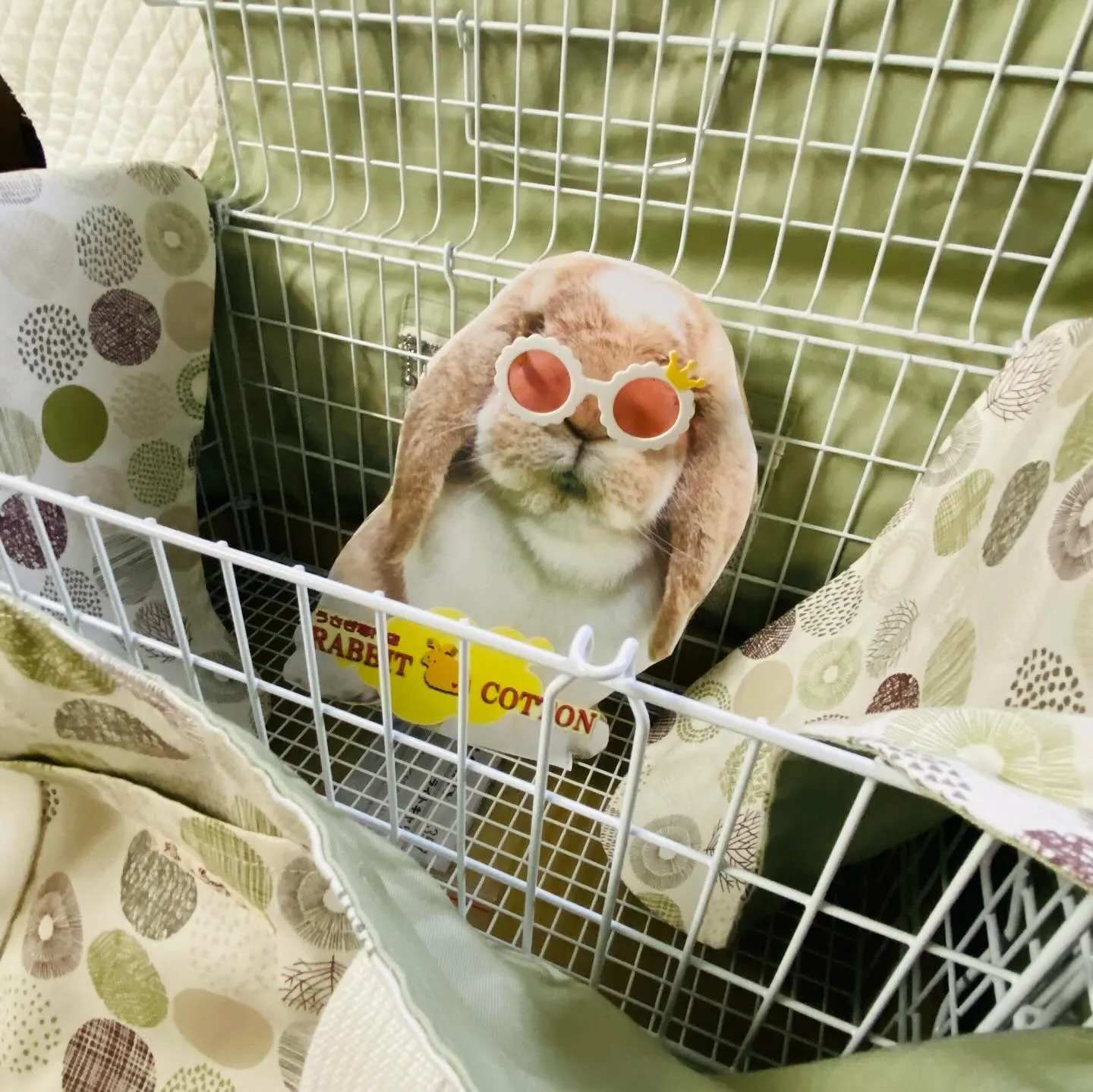 ☆キャリーカバーバック☆