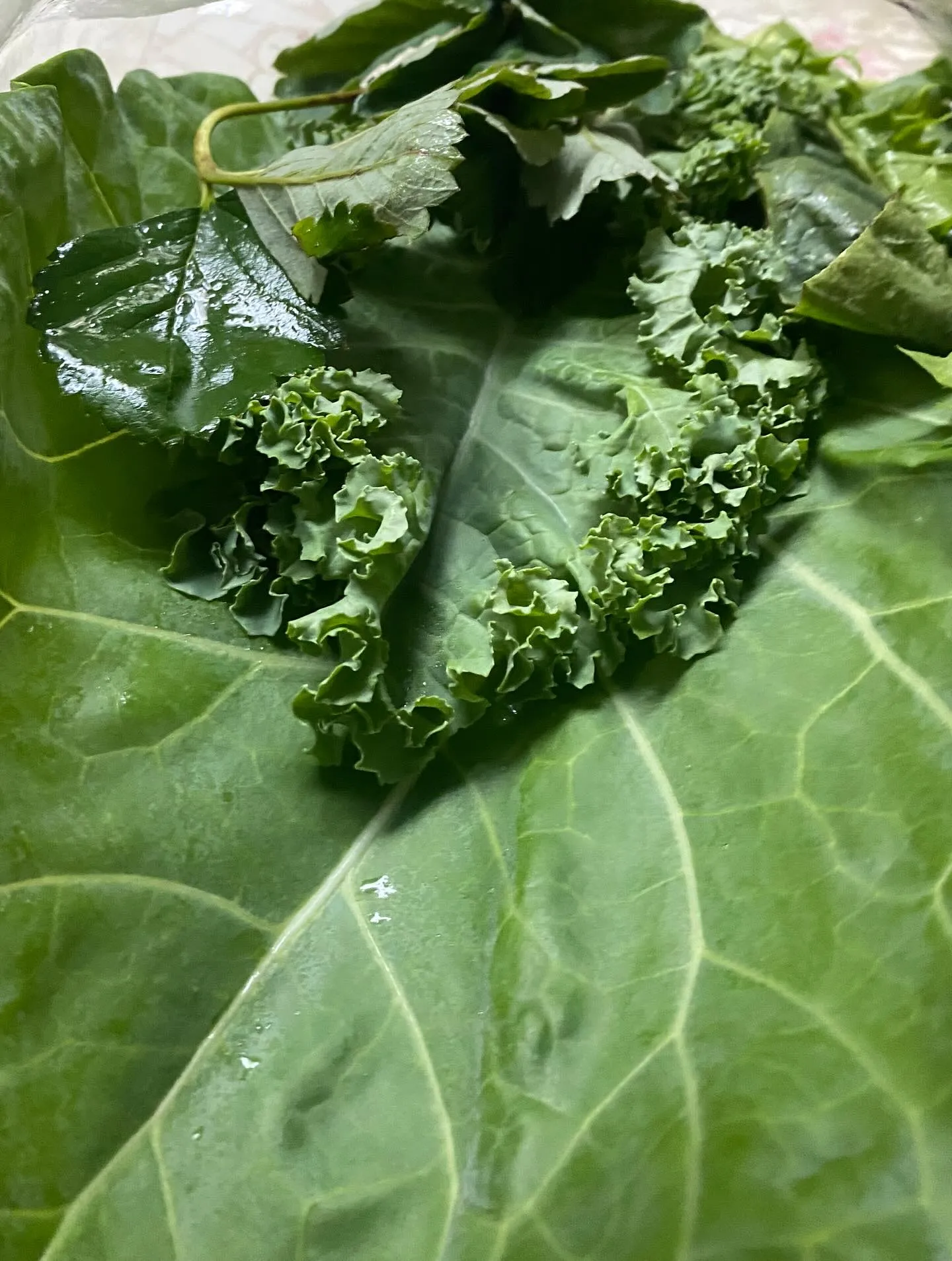 ☆ラキテファーム☆