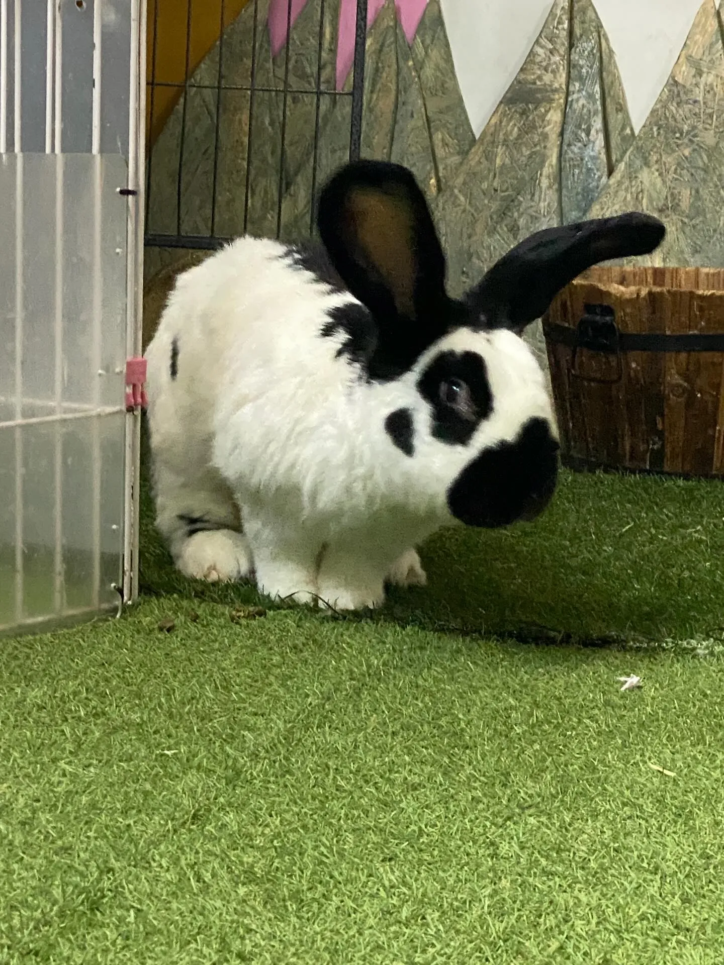 ☆パパごんと息子☆