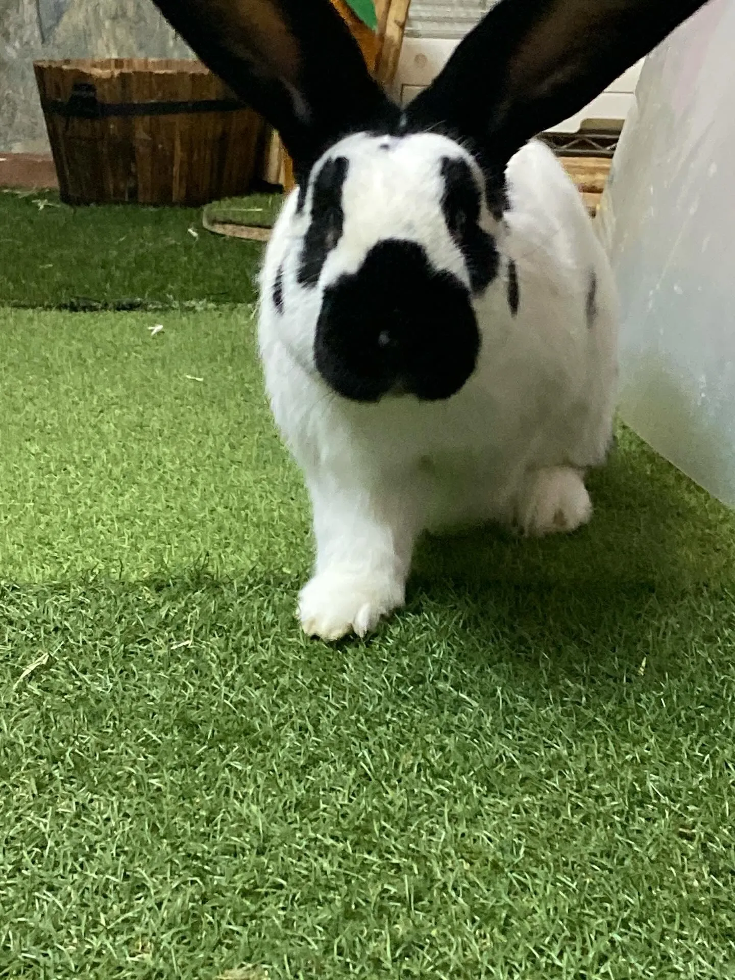 ☆パパごんと息子☆