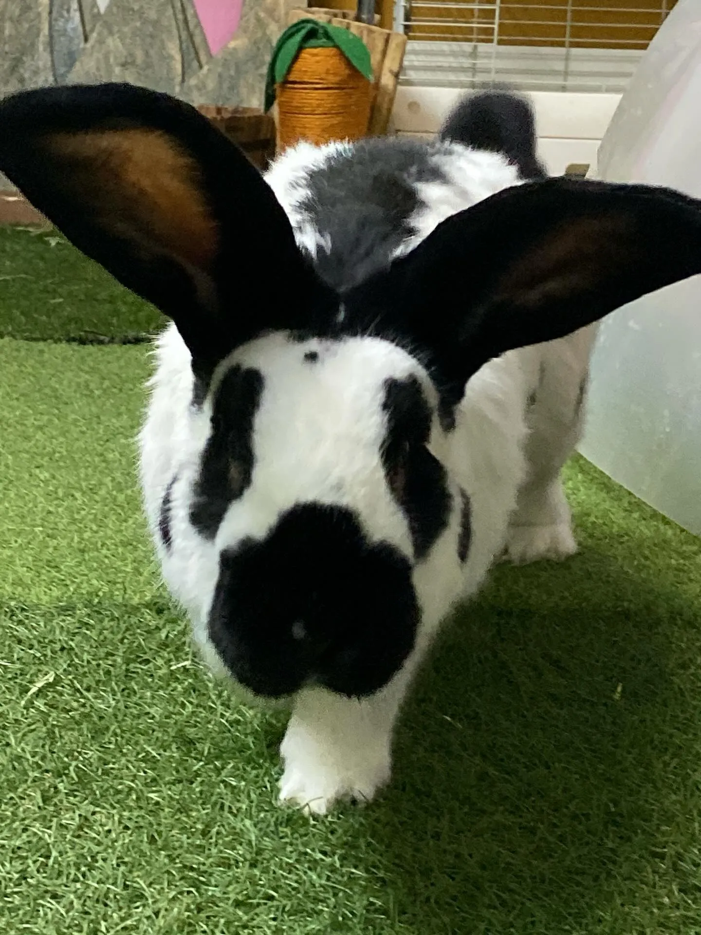 ☆パパごんと息子☆