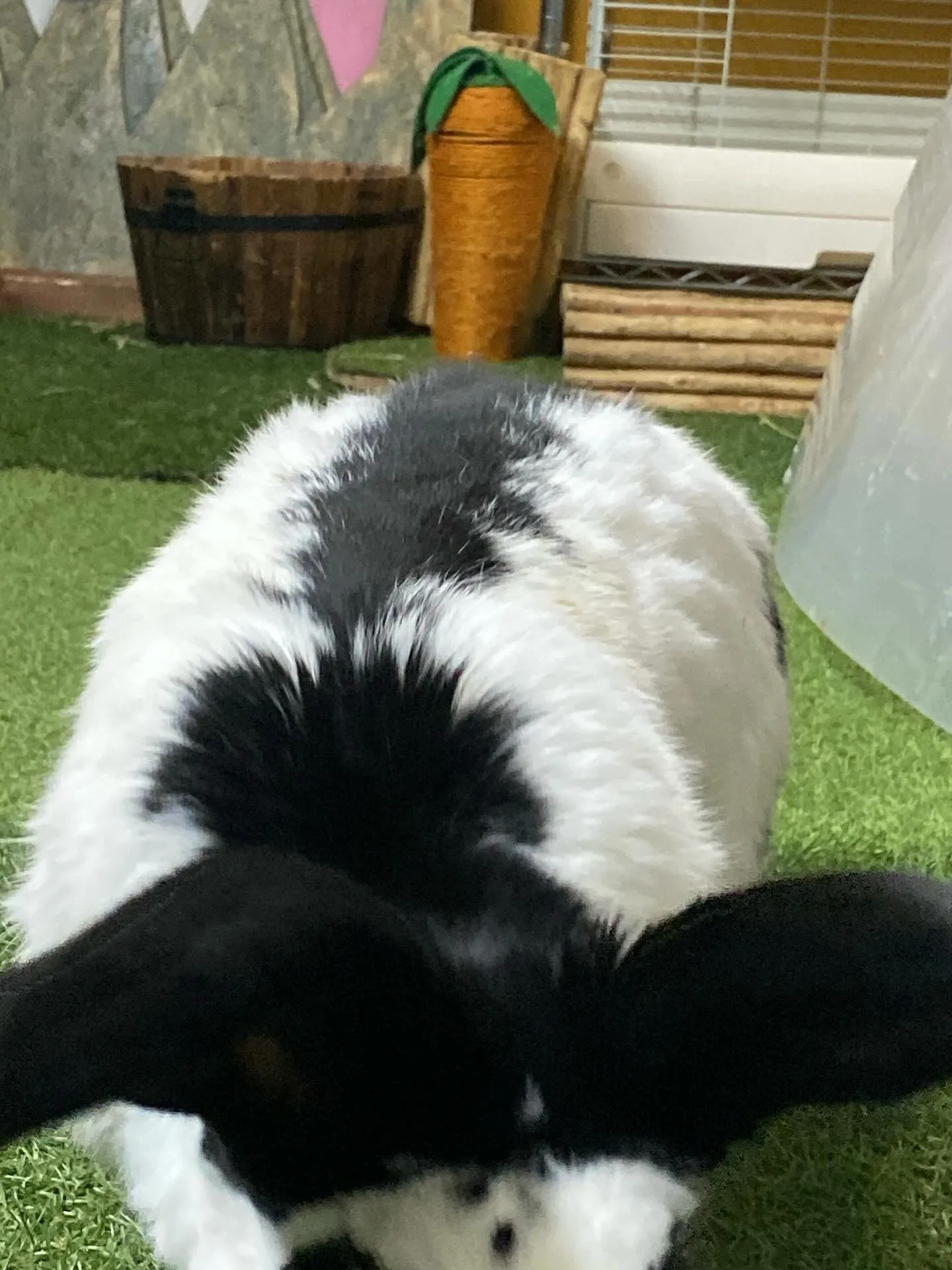 ☆パパごんと息子☆