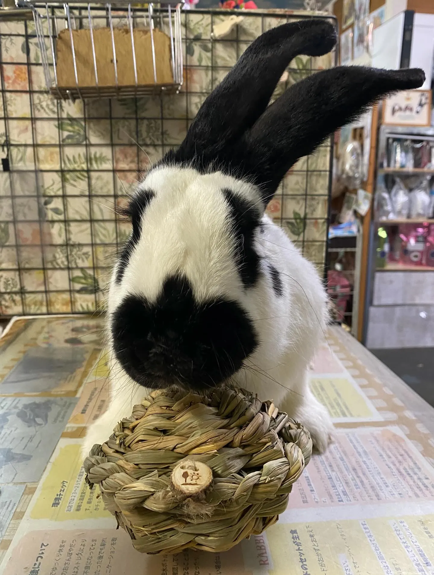 ☆パパごんと息子☆