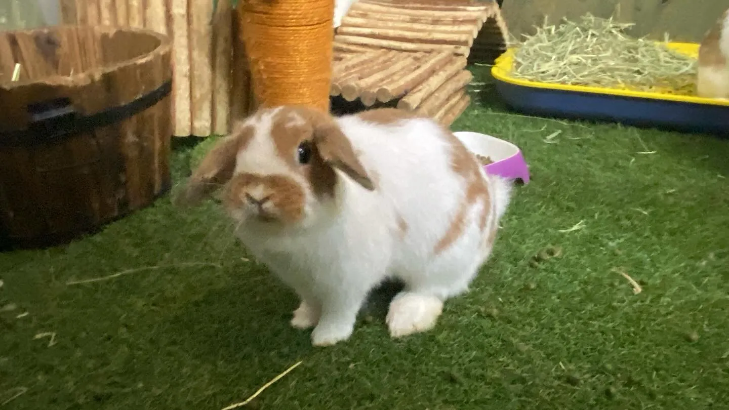 ☆ローテーション☆