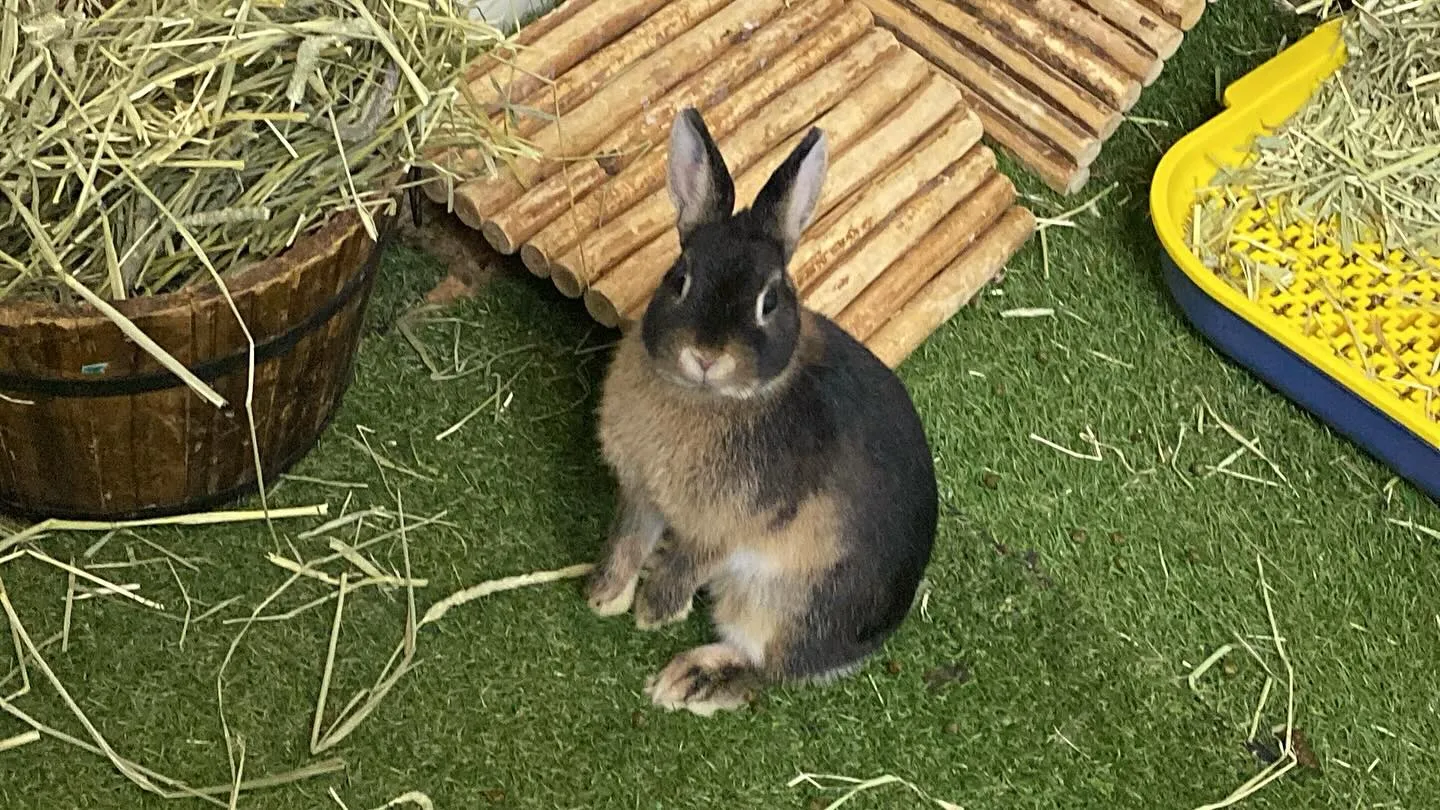 ☆ローテーション☆