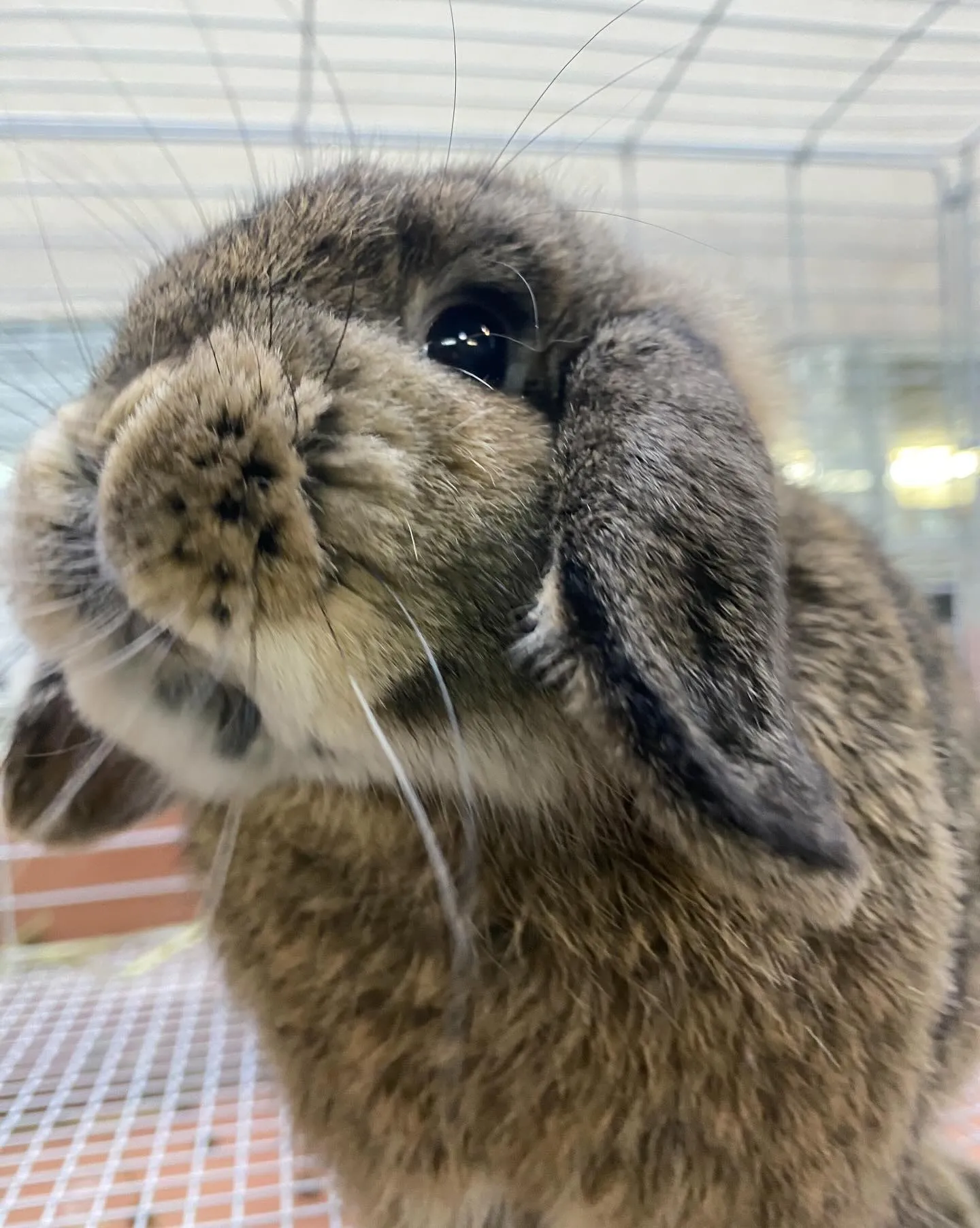 ☆イケメン３代目☆