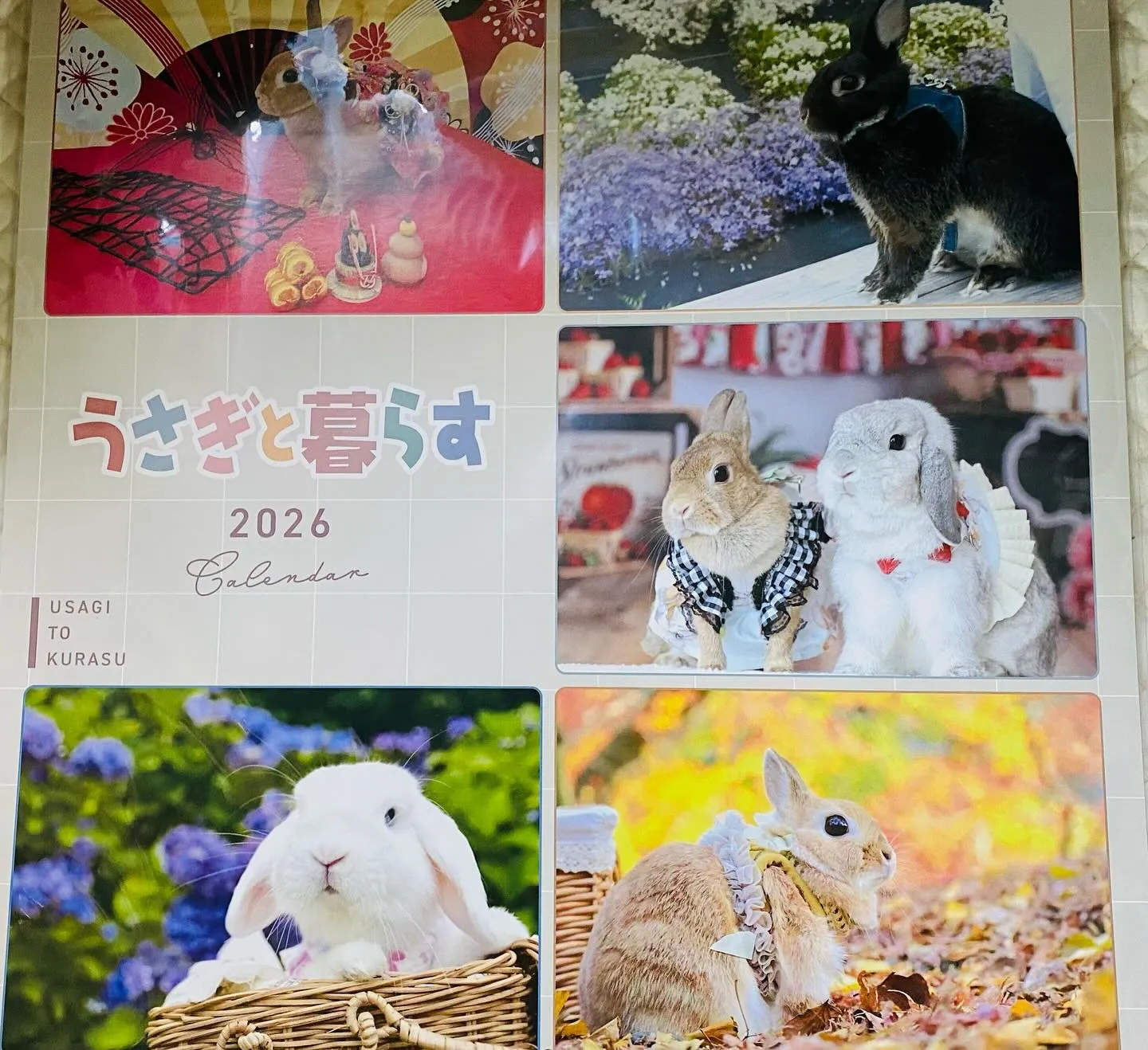 ☆2026カレンダー☆