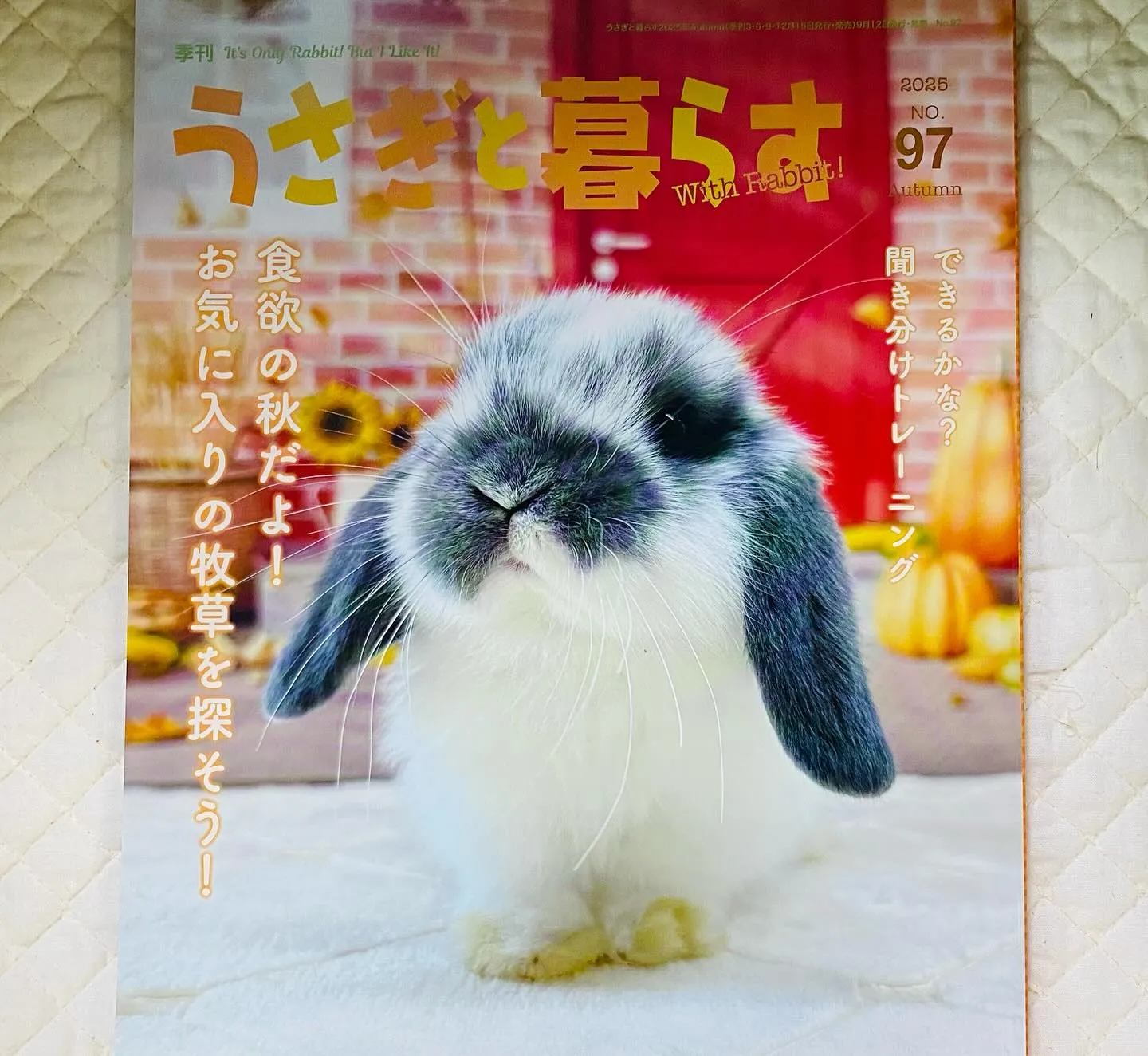 ☆2026カレンダー☆