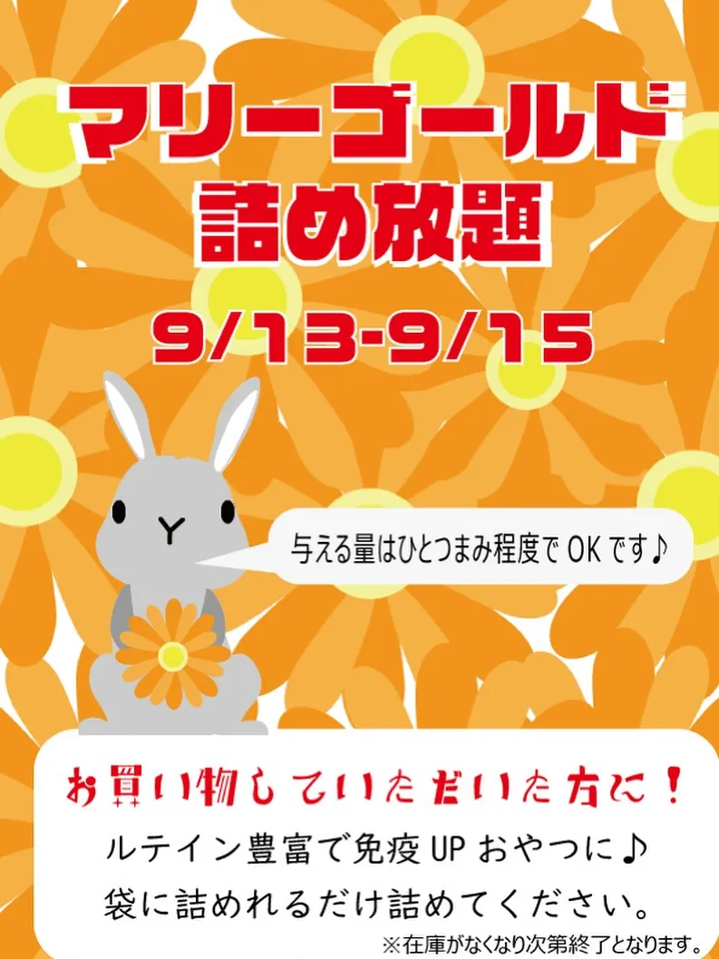 ☆三連休企画☆