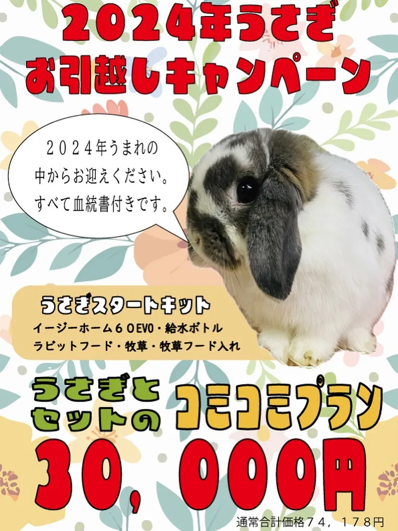 ☆2024年うさぎ☆
