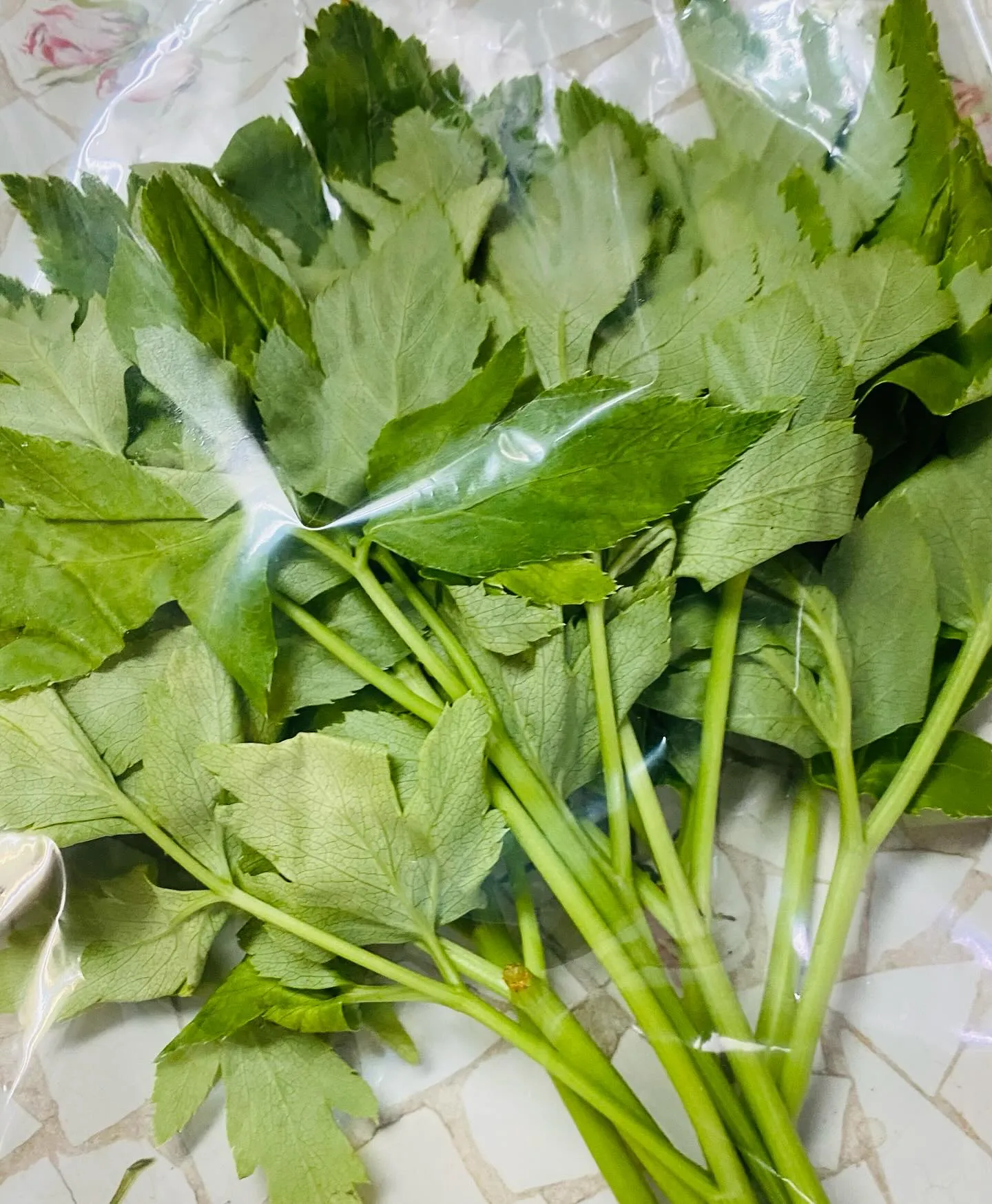 ☆生野菜☆