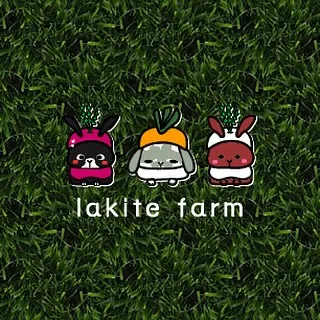 ☆ラキテ葉っぱ☆