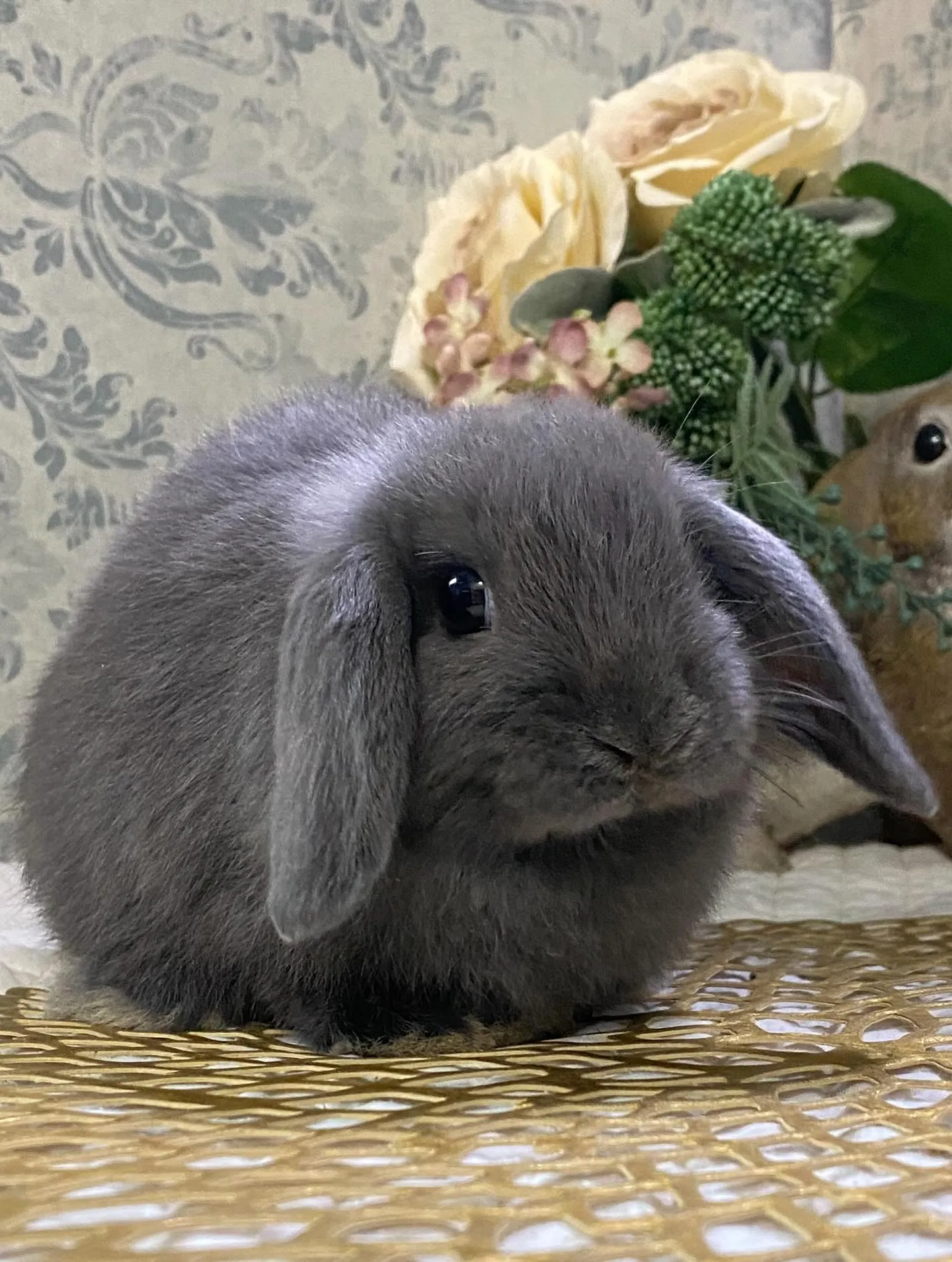 ☆10月3日店頭デビュー☆