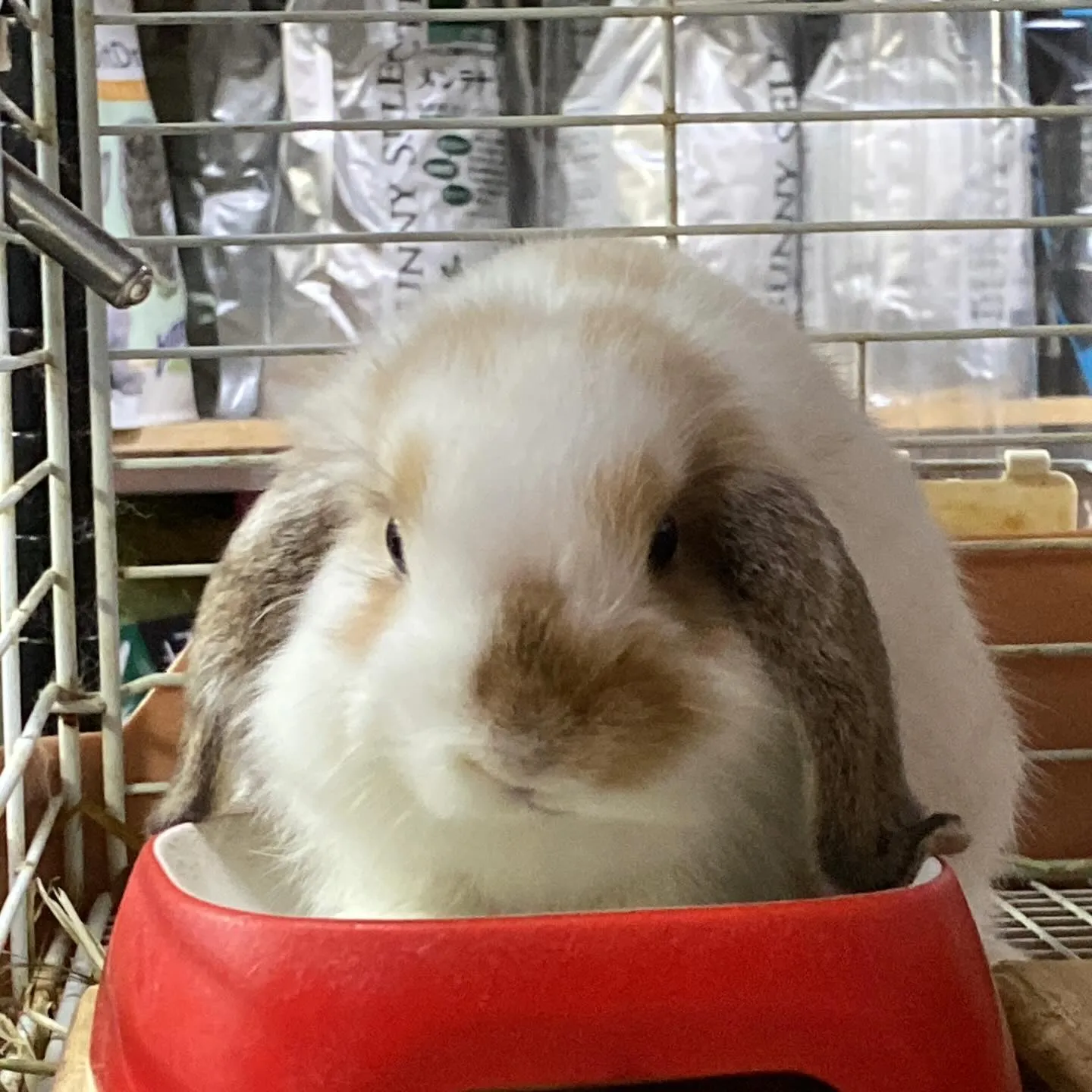 ☆ごはんタイム☆