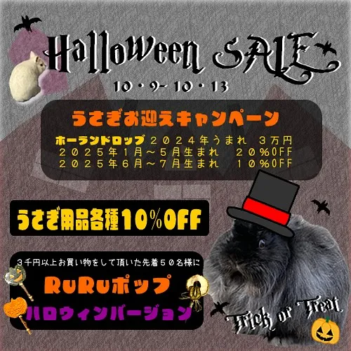 ☆ハロウィンSALE☆