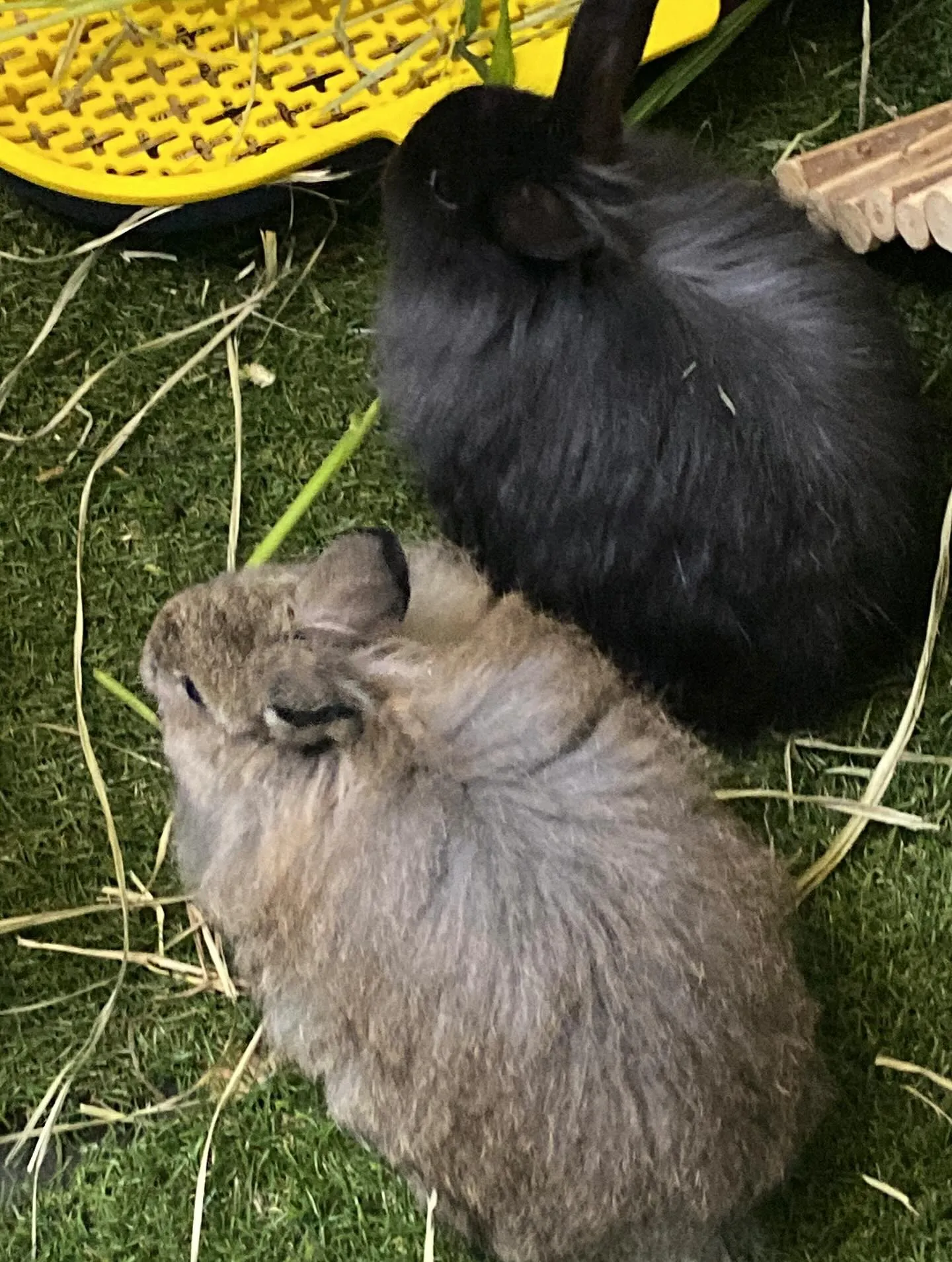 ☆放牧タイム☆