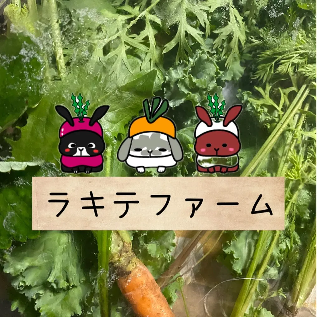 ☆ラキテ葉っぱ☆